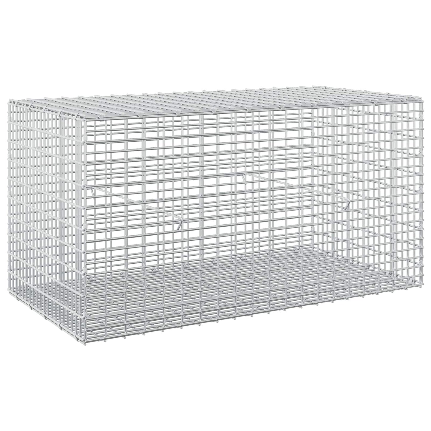 vidaXL Γκαμπιόν με σύρμα 5 mm και πλέγμα 5x2,5 cm 100x50x50 εκ