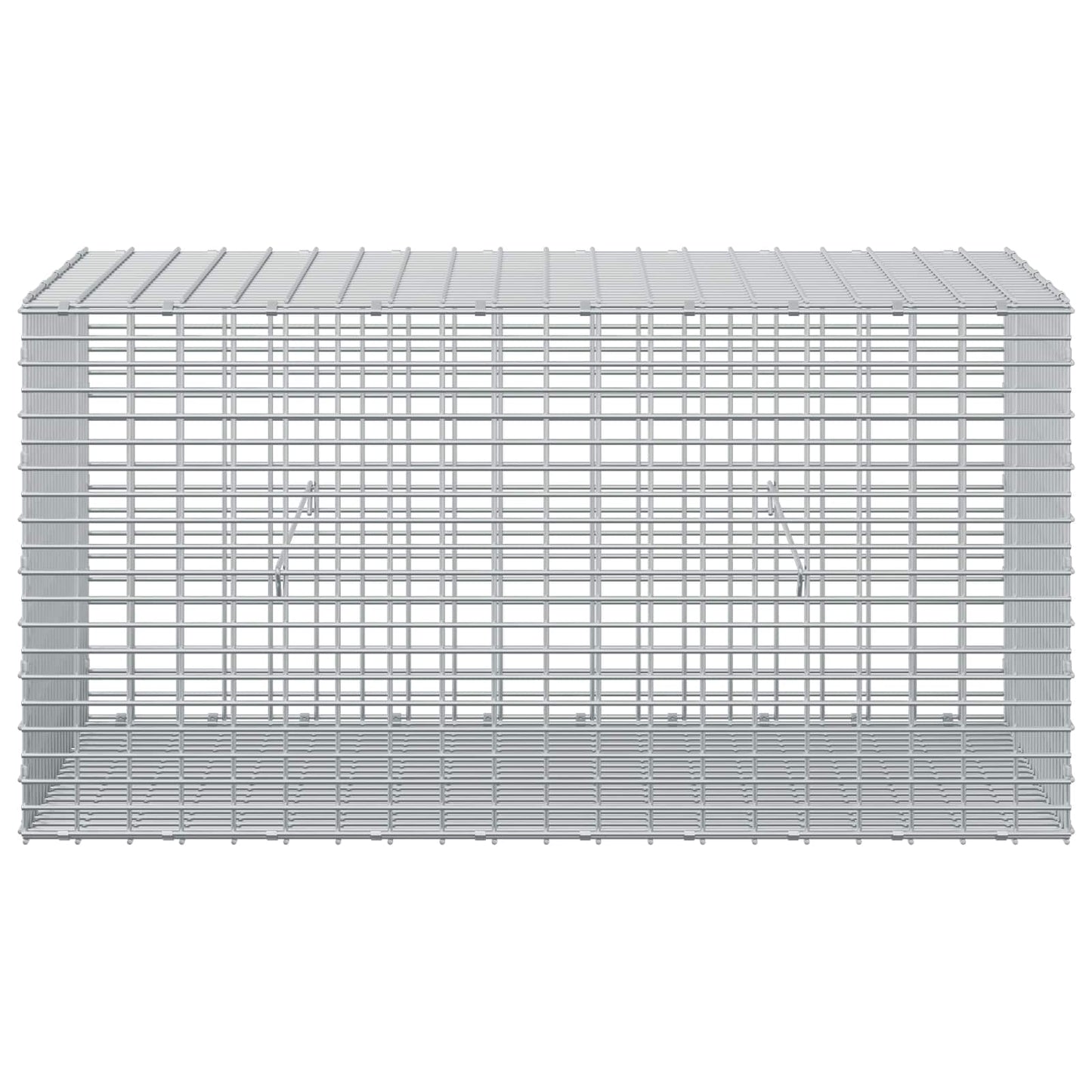 vidaXL Γκαμπιόν με σύρμα 5 mm και πλέγμα 5x2,5 cm 100x50x50 εκ