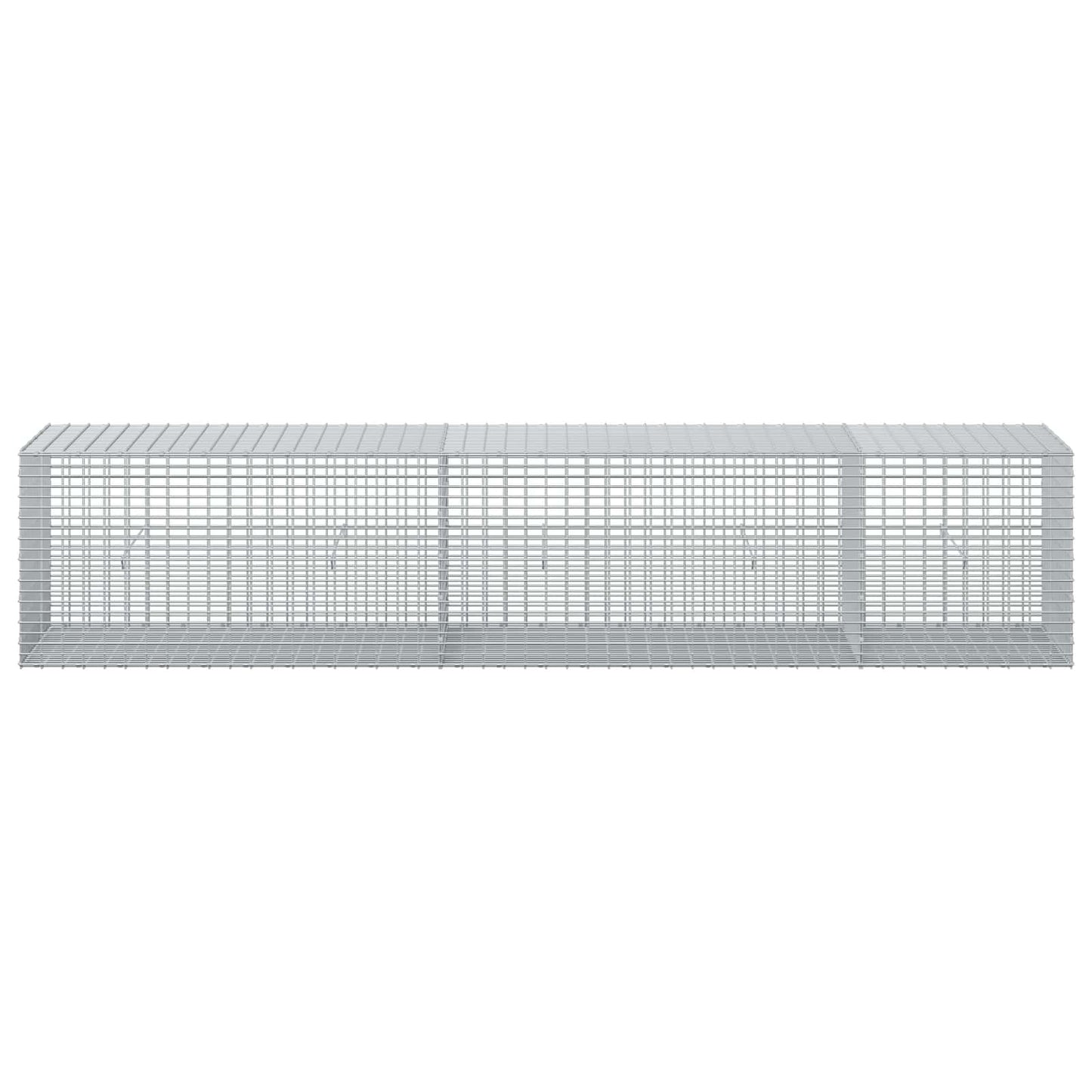 vidaXL Γκαμπιόν με σύρμα 5 mm και πλέγμα 5x2,5 cm 250x50x50 εκ