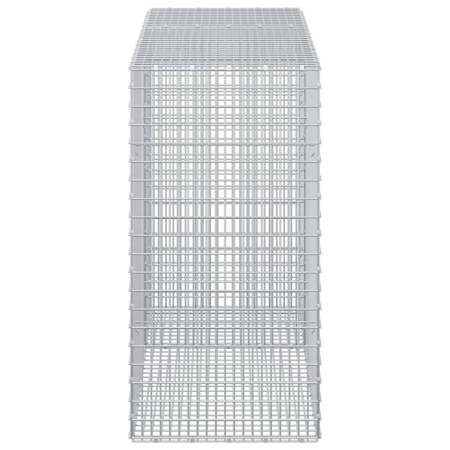 vidaXL Γκαμπιόν με σύρμα 5 mm και πλέγμα 5x2,5 cm 150x50x100 εκ.