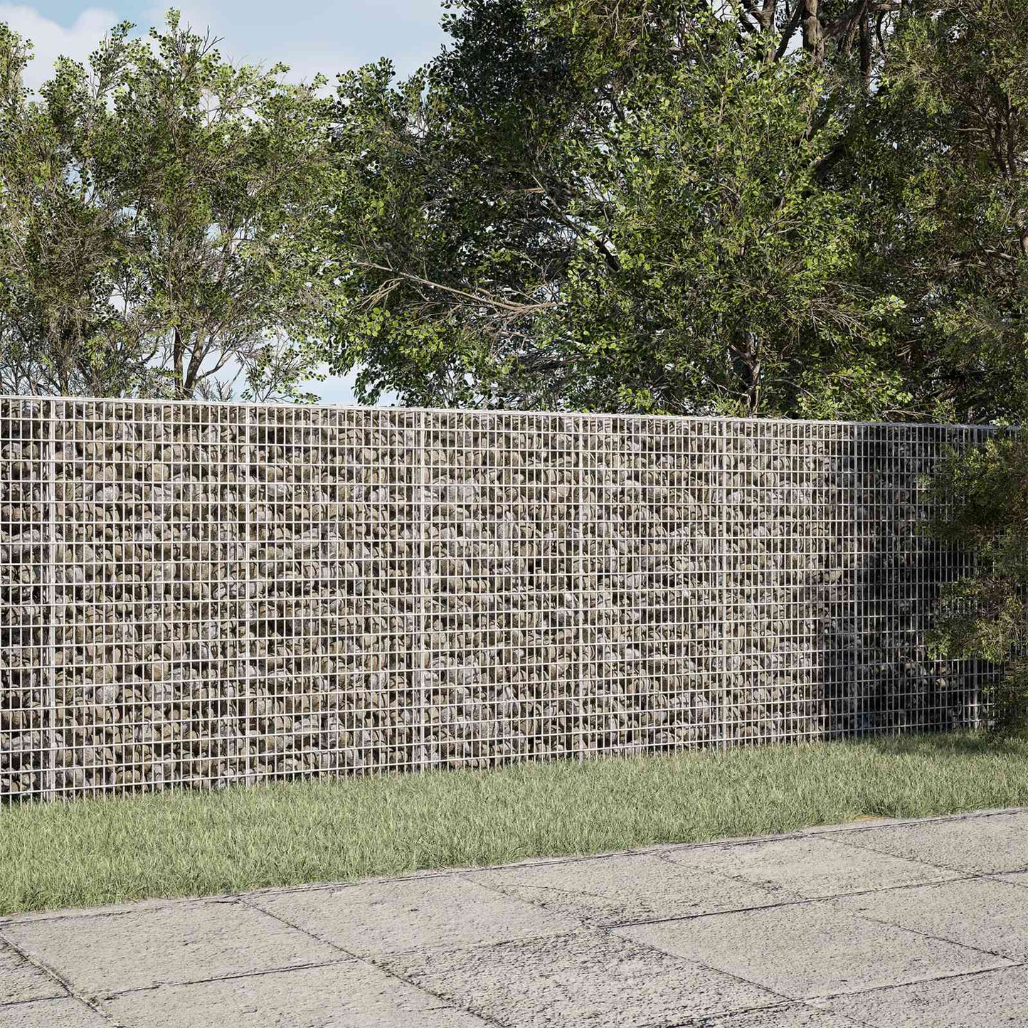 vidaXL Γκαμπιόν με σύρμα 5 mm και πλέγμα 5x2,5 cm 250x50x100 εκ