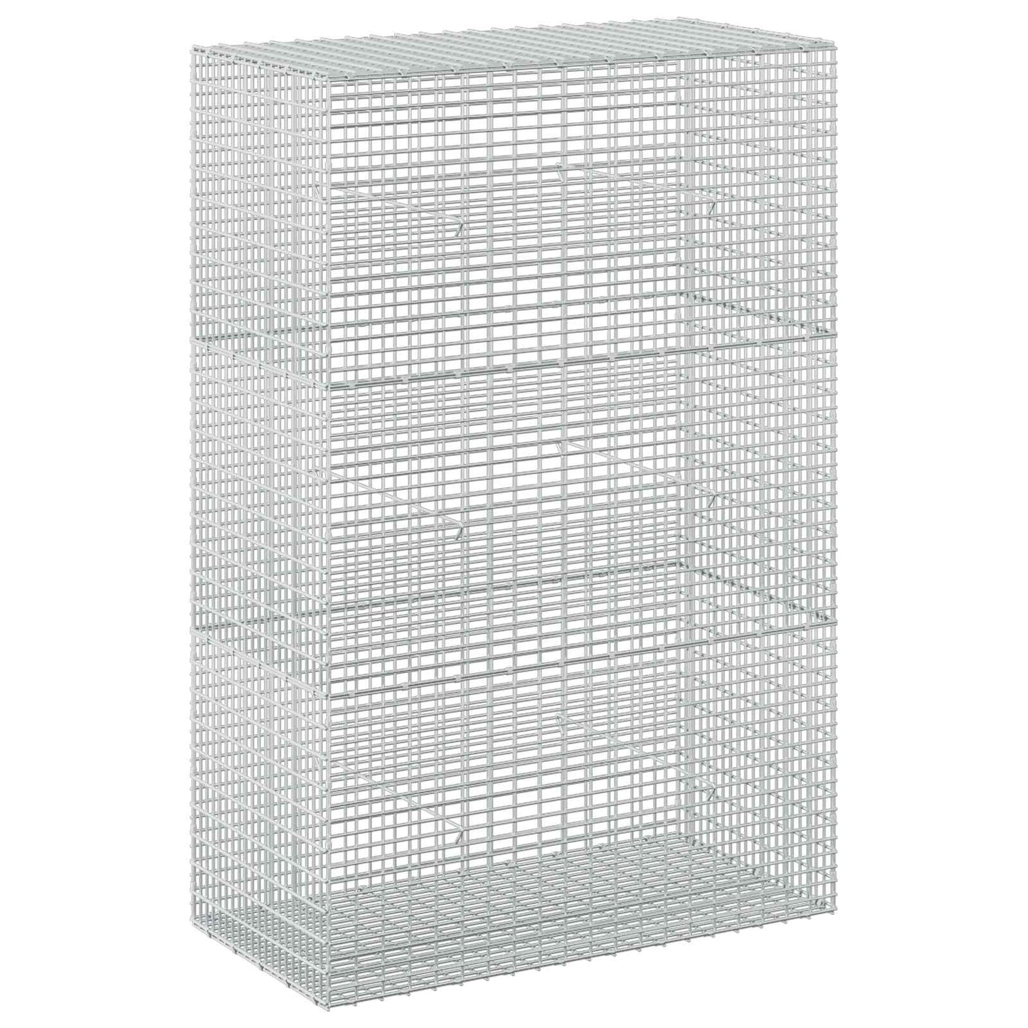 vidaXL Γκαμπιόν με σύρμα 5 mm και πλέγμα 5x2,5 cm 100x50x150 εκ