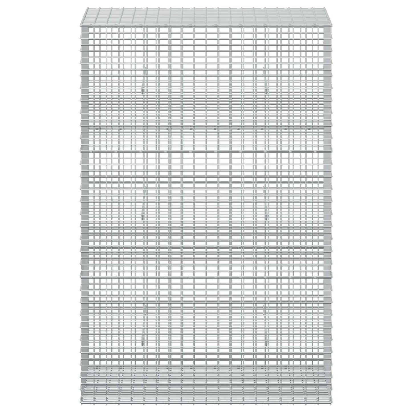vidaXL Γκαμπιόν με σύρμα 5 mm και πλέγμα 5x2,5 cm 100x50x150 εκ