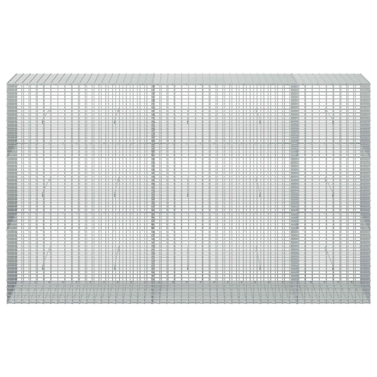 vidaXL Γκαμπιόν με σύρμα 5 mm και πλέγμα 5x2,5 cm 250x50x150 εκ