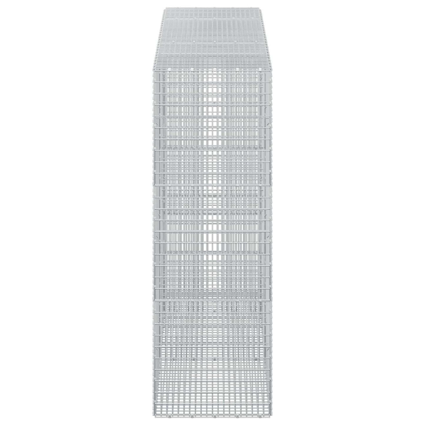 vidaXL Γκαμπιόν με σύρμα 5 mm και πλέγμα 5x2,5 cm 250x50x150 εκ
