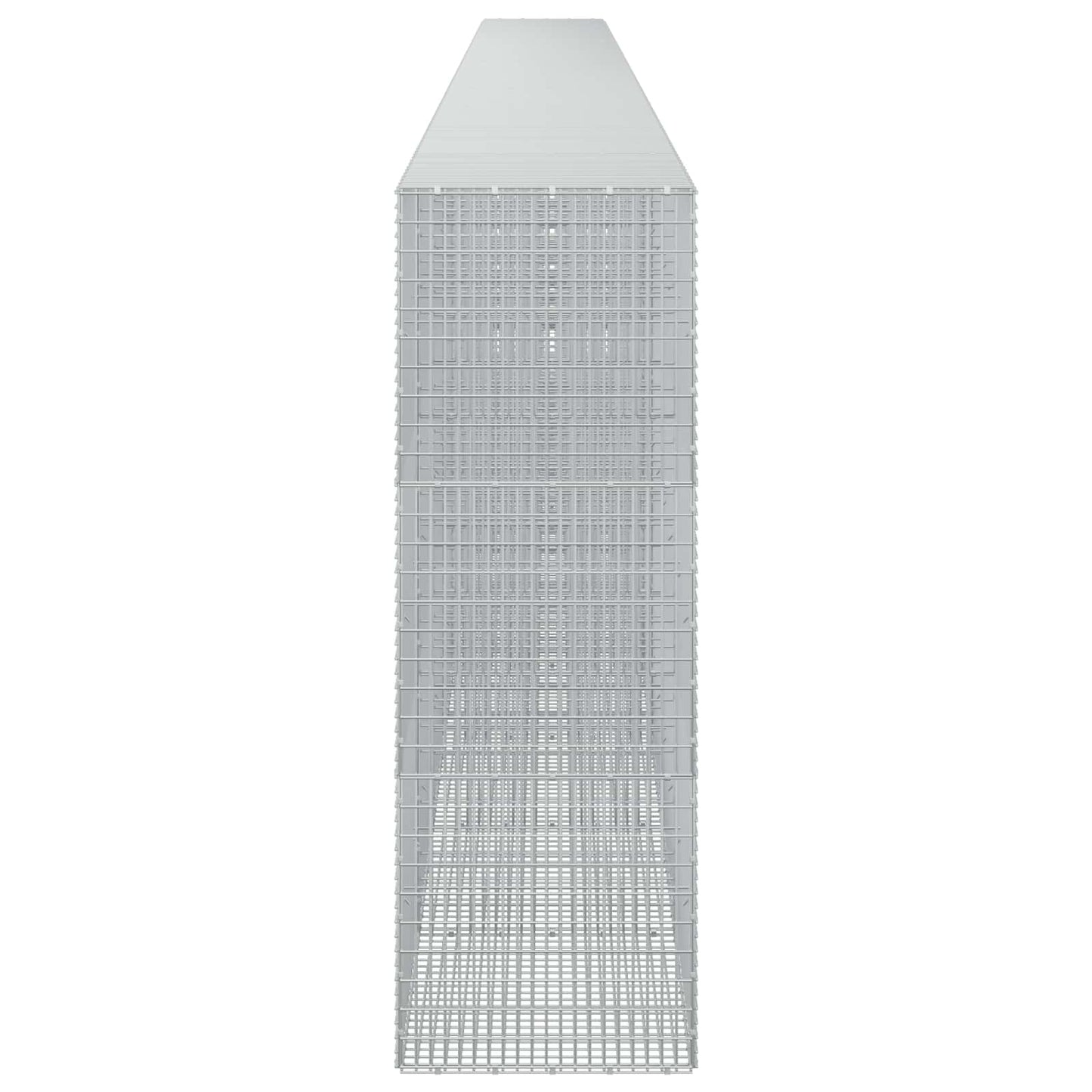 vidaXL Γκαμπιόν με σύρμα 5 mm και πλέγμα 5x2,5 cm 1100x50x150 εκ