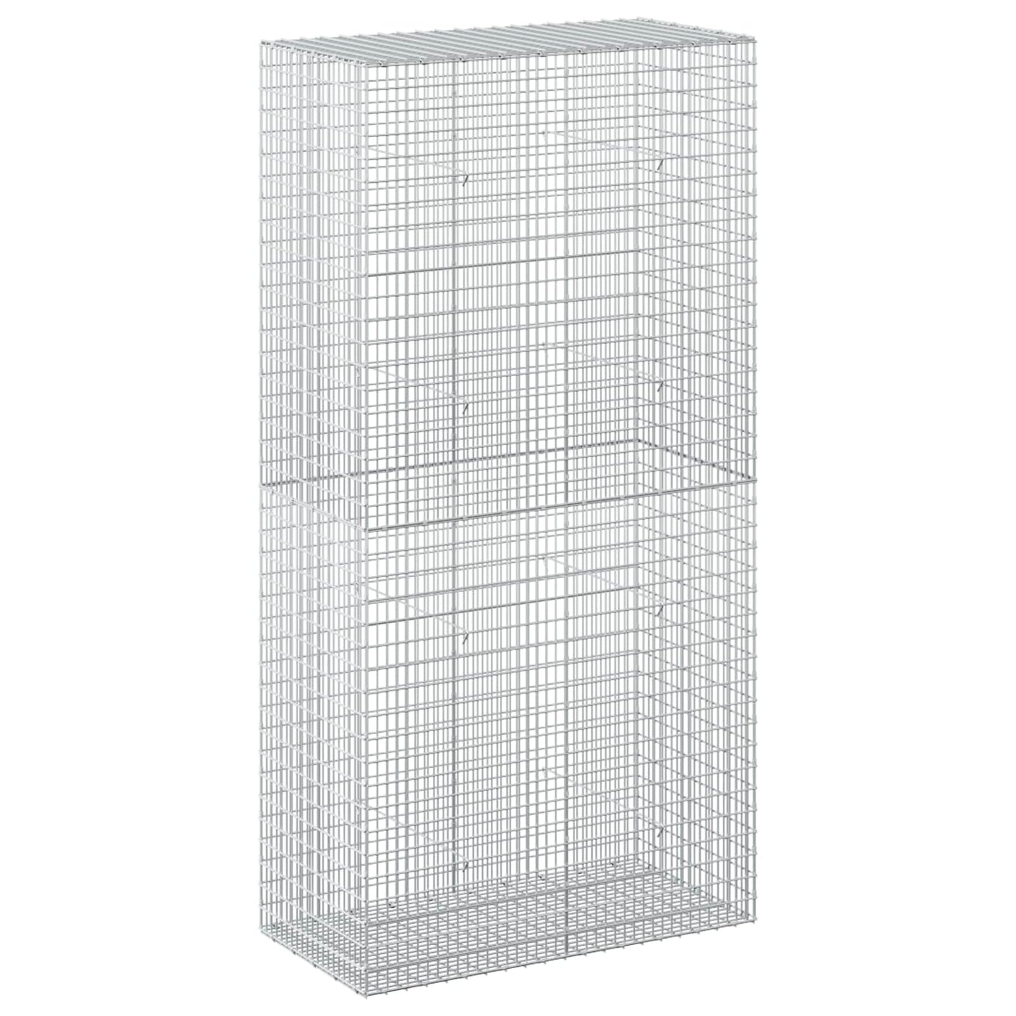 vidaXL Γκαμπιόν με σύρμα 5 mm και πλέγμα 5x2,5 cm 100x50x200 cm
