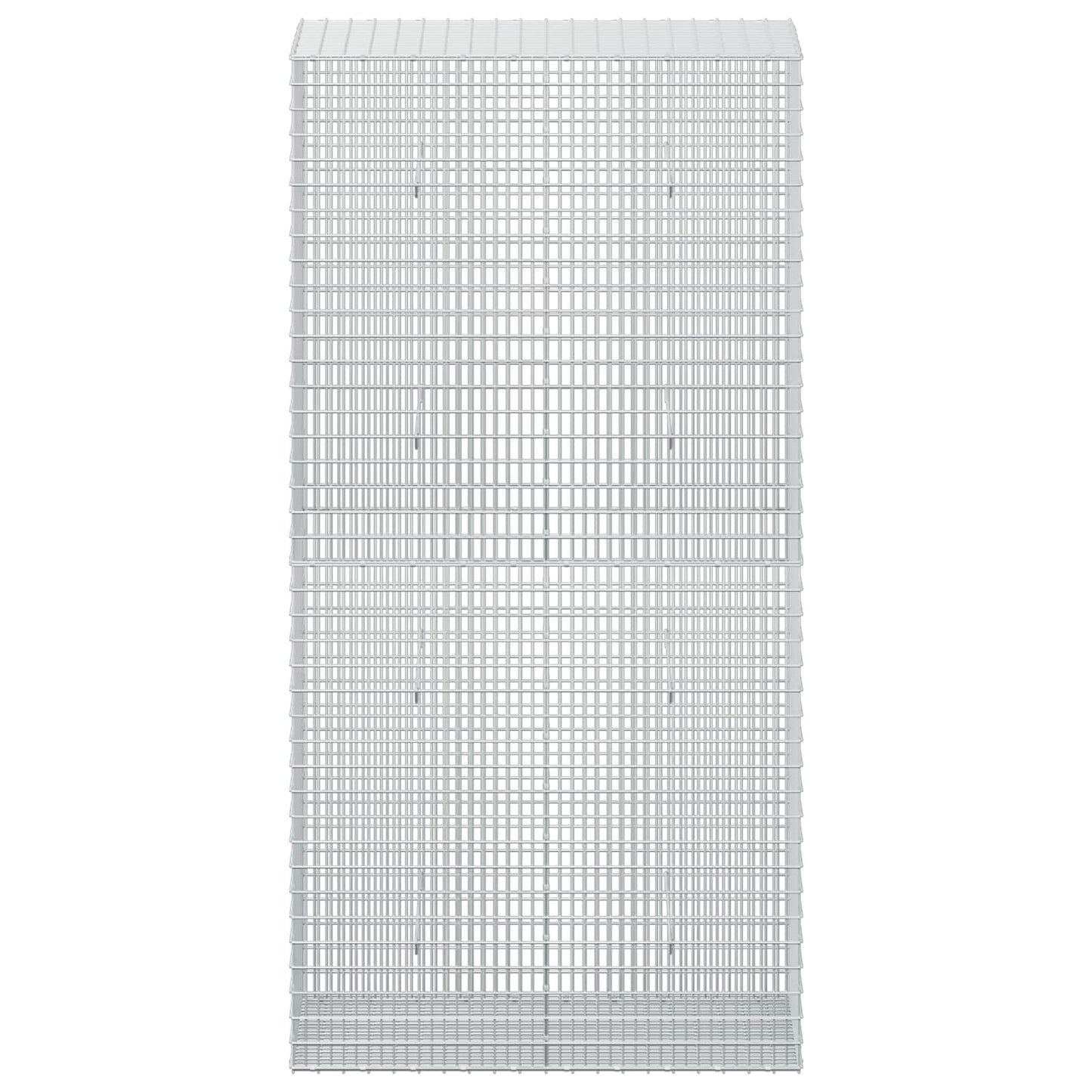 vidaXL Γκαμπιόν με σύρμα 5 mm και πλέγμα 5x2,5 cm 100x50x200 cm