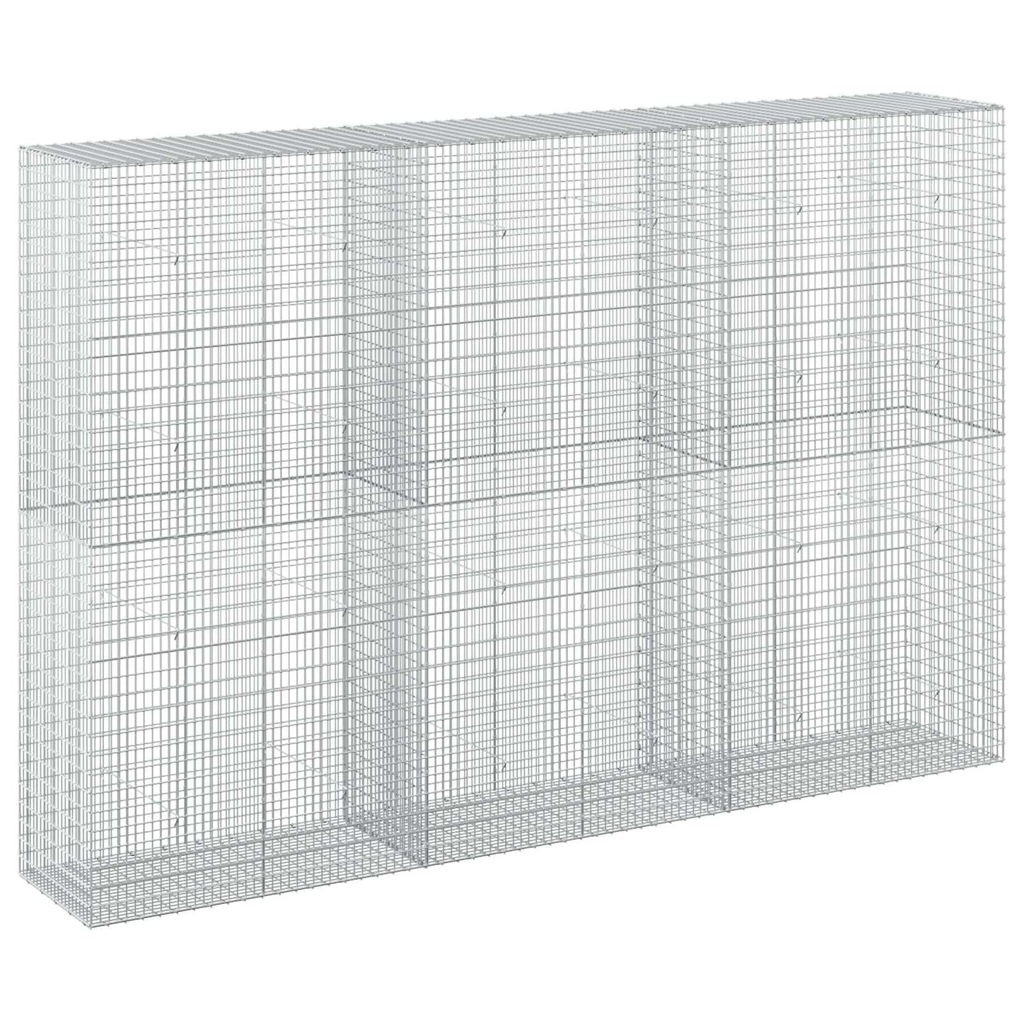 vidaXL Γκαμπιόν με σύρμα 5 mm και πλέγμα 5x2,5 cm 300x50x200 εκ