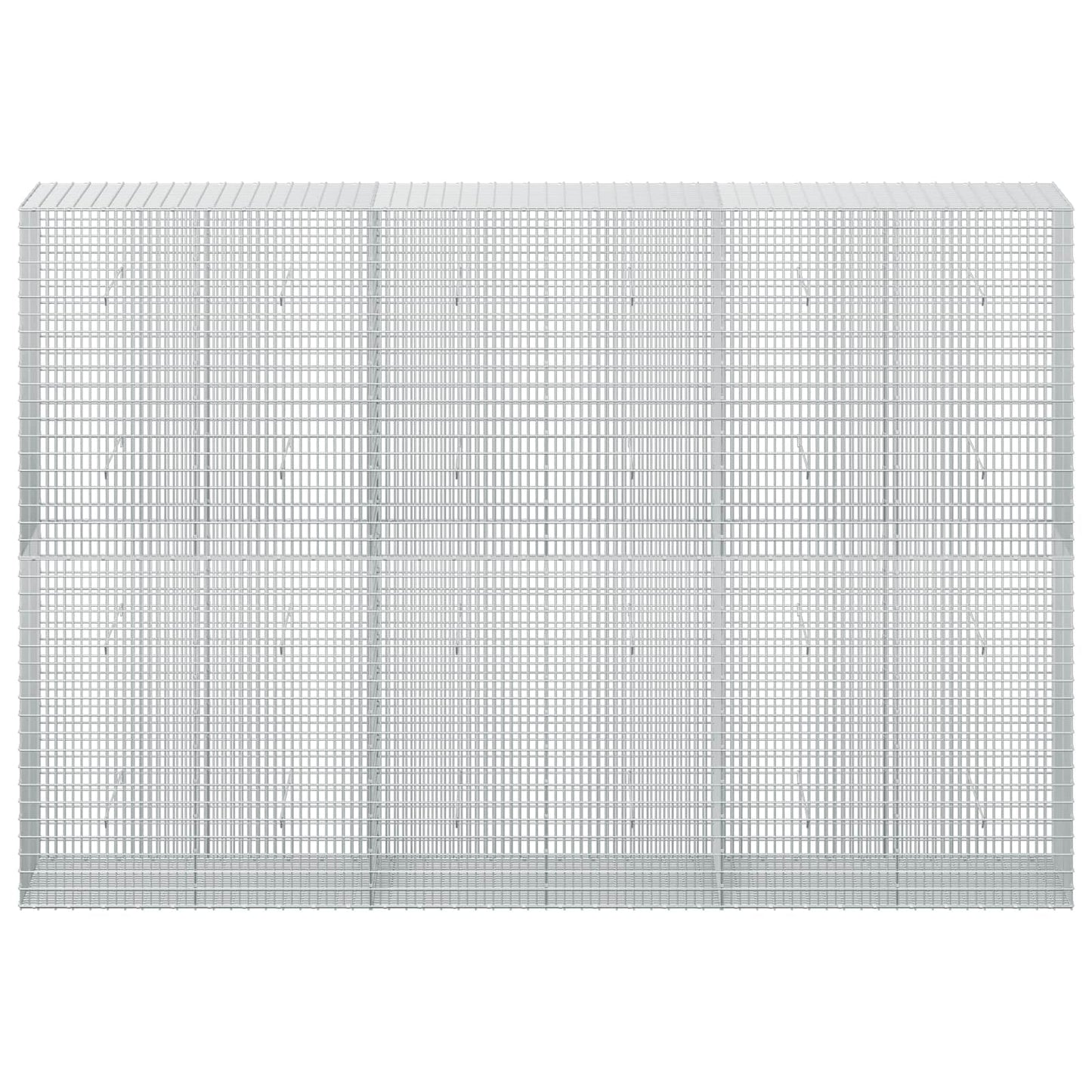vidaXL Γκαμπιόν με σύρμα 5 mm και πλέγμα 5x2,5 cm 300x50x200 εκ