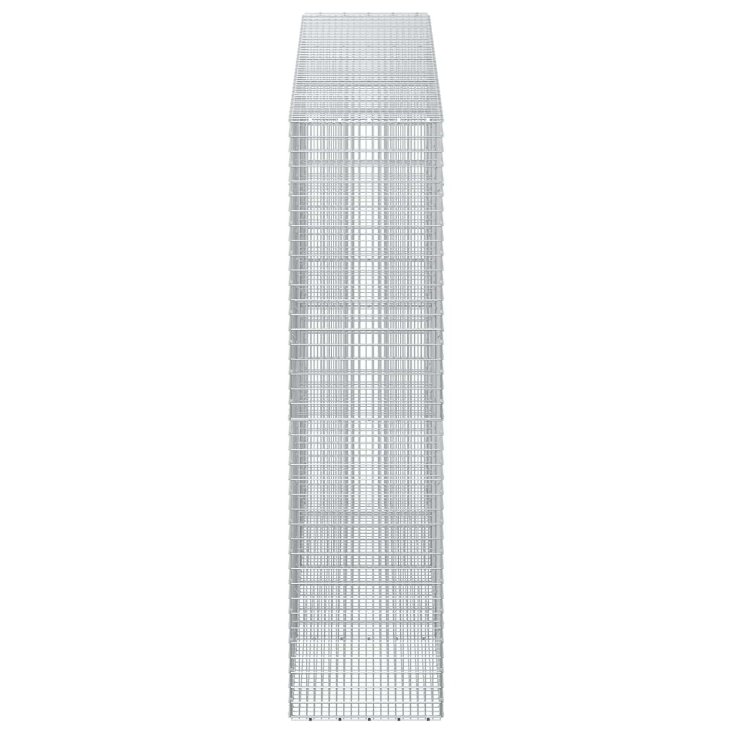 vidaXL Γκαμπιόν με σύρμα 5 mm και πλέγμα 5x2,5 cm 300x50x200 εκ