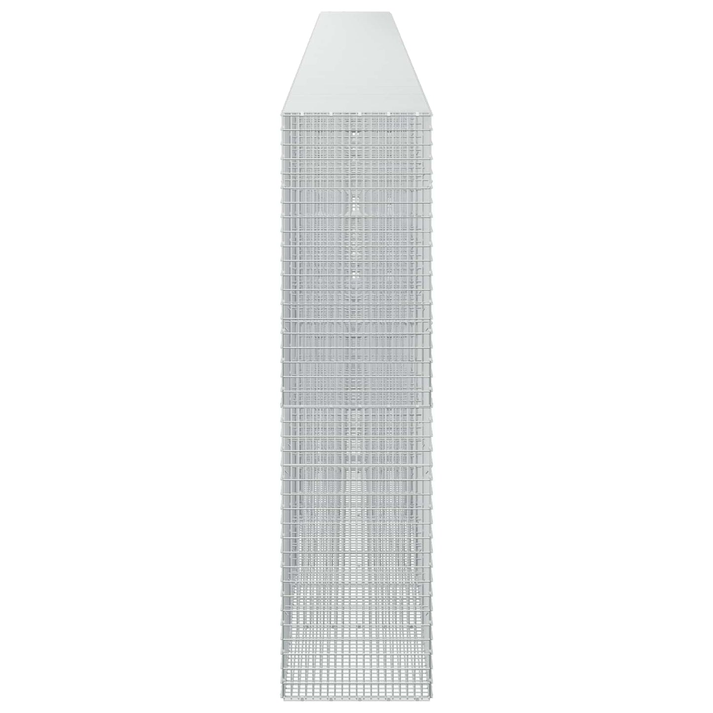 vidaXL Γκαμπιόν με σύρμα 5 mm και πλέγμα 5x2,5 cm 1100x50x200 εκ
