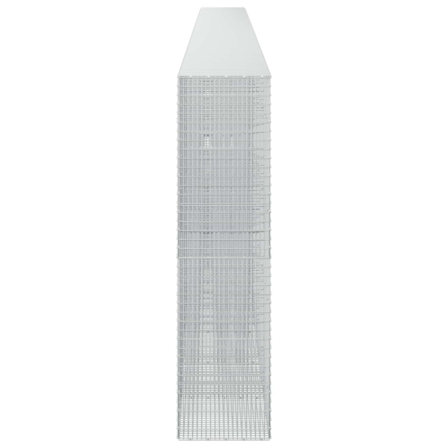 vidaXL Γκαμπιόν με σύρμα 5 mm και πλέγμα 5x2,5 cm 1200x50x200 εκ