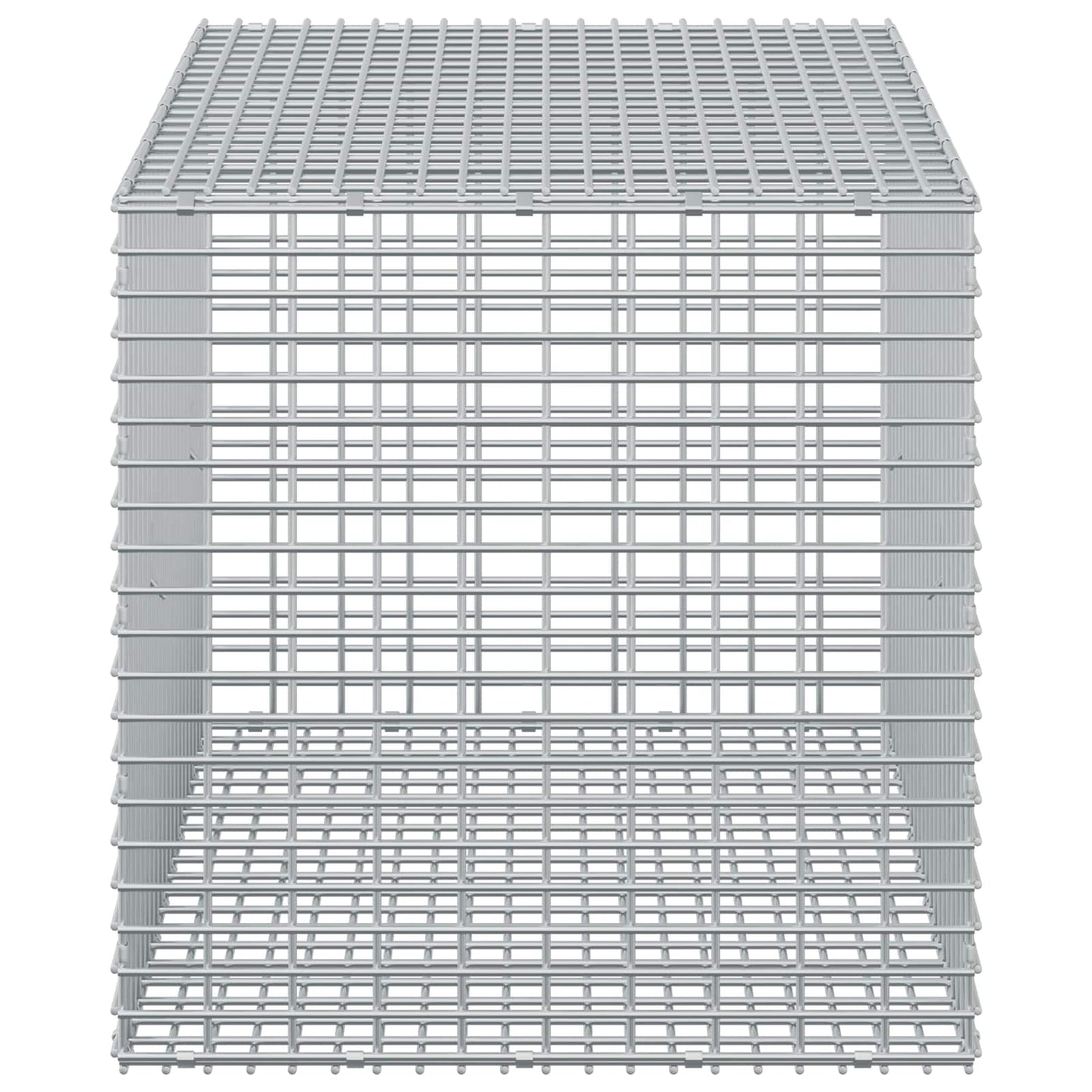 vidaXL Γκαμπιόν με σύρμα 5 mm και πλέγμα 5x2,5 cm 50x100x50 εκ