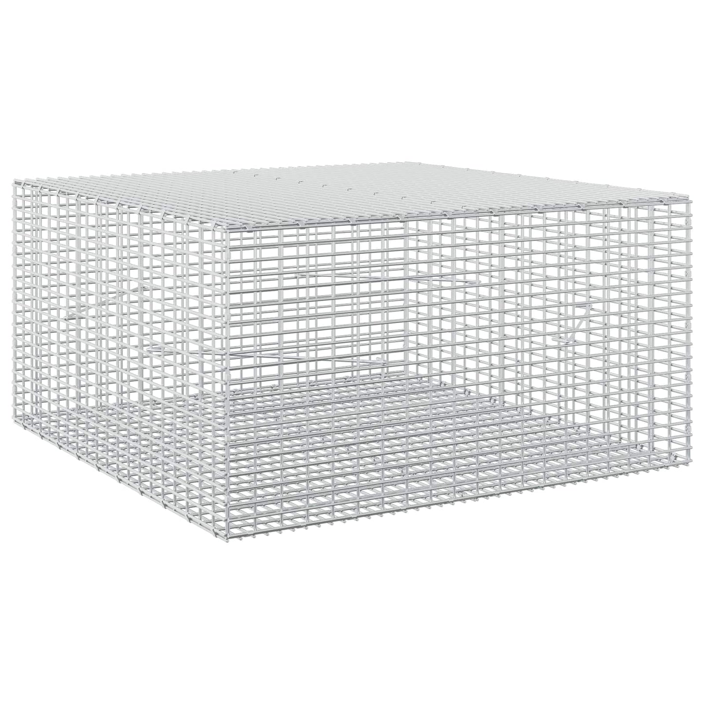 vidaXL Γκαμπιόν με σύρμα 5 mm και πλέγμα 5x2,5 cm 100x100x50 εκ