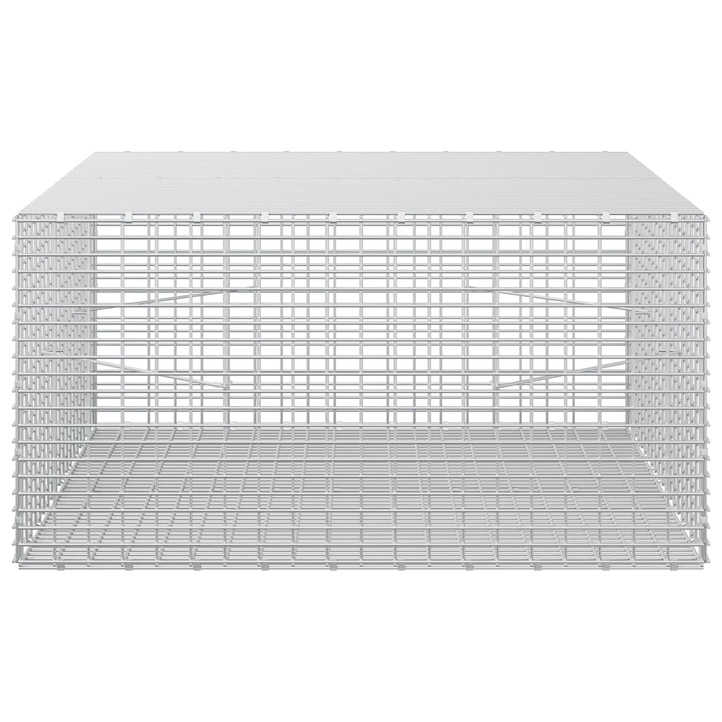 vidaXL Γκαμπιόν με σύρμα 5 mm και πλέγμα 5x2,5 cm 100x100x50 εκ