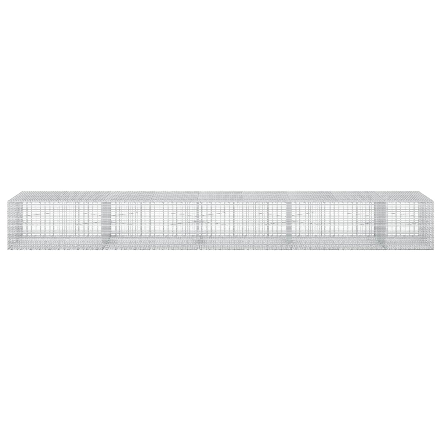 vidaXL Γκαμπιόν με σύρμα 5 mm και πλέγμα 5x2,5 cm 450x100x50 εκ