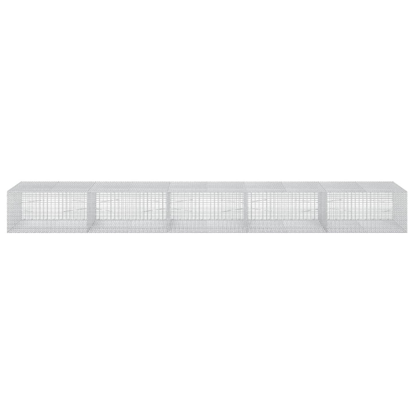 vidaXL Γκαμπιόν με σύρμα 5 mm και πλέγμα 5x2,5 cm 500x100x50 εκ
