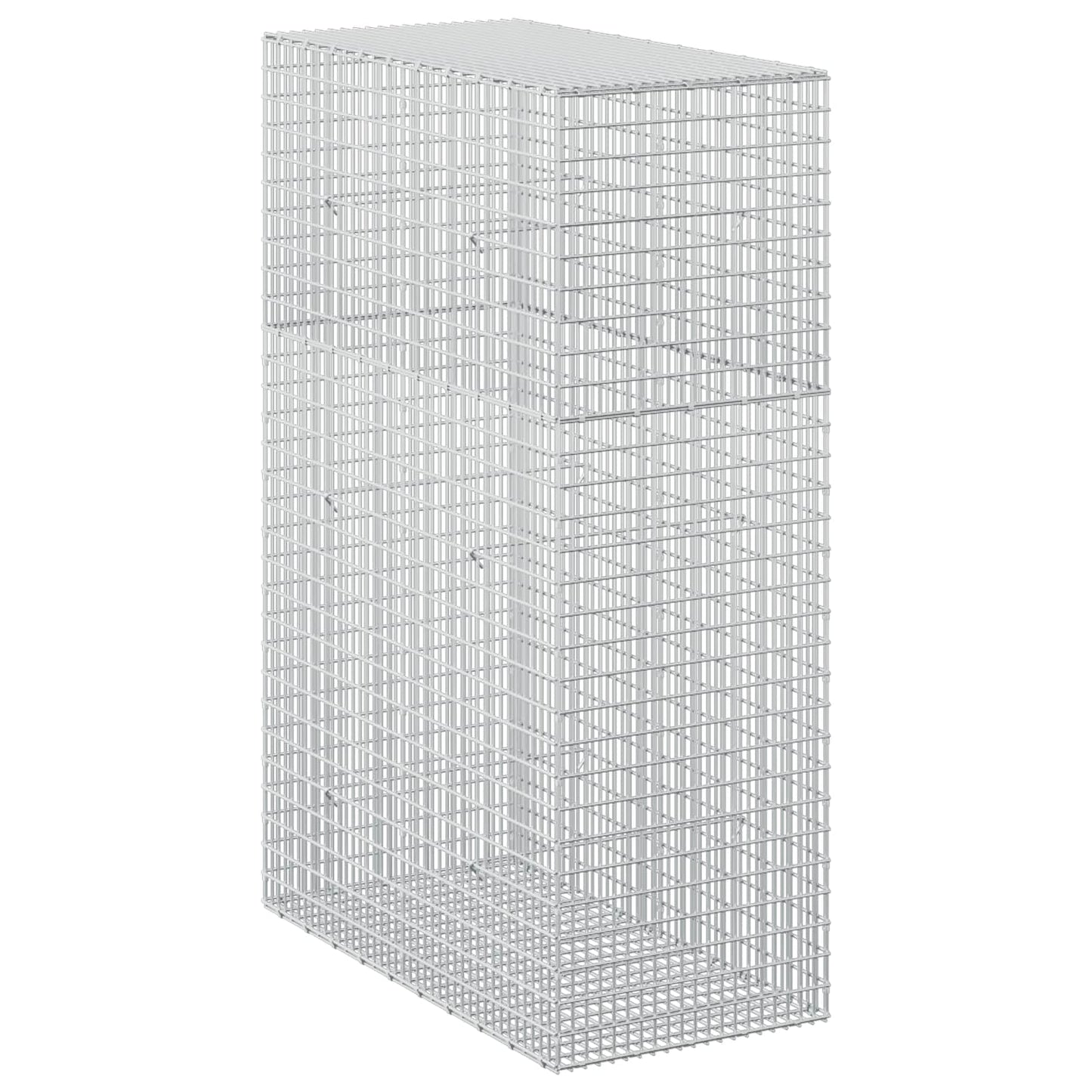 vidaXL Γκαμπιόν με σύρμα 5 mm και πλέγμα 5x2,5 cm 50x100x150 εκ.