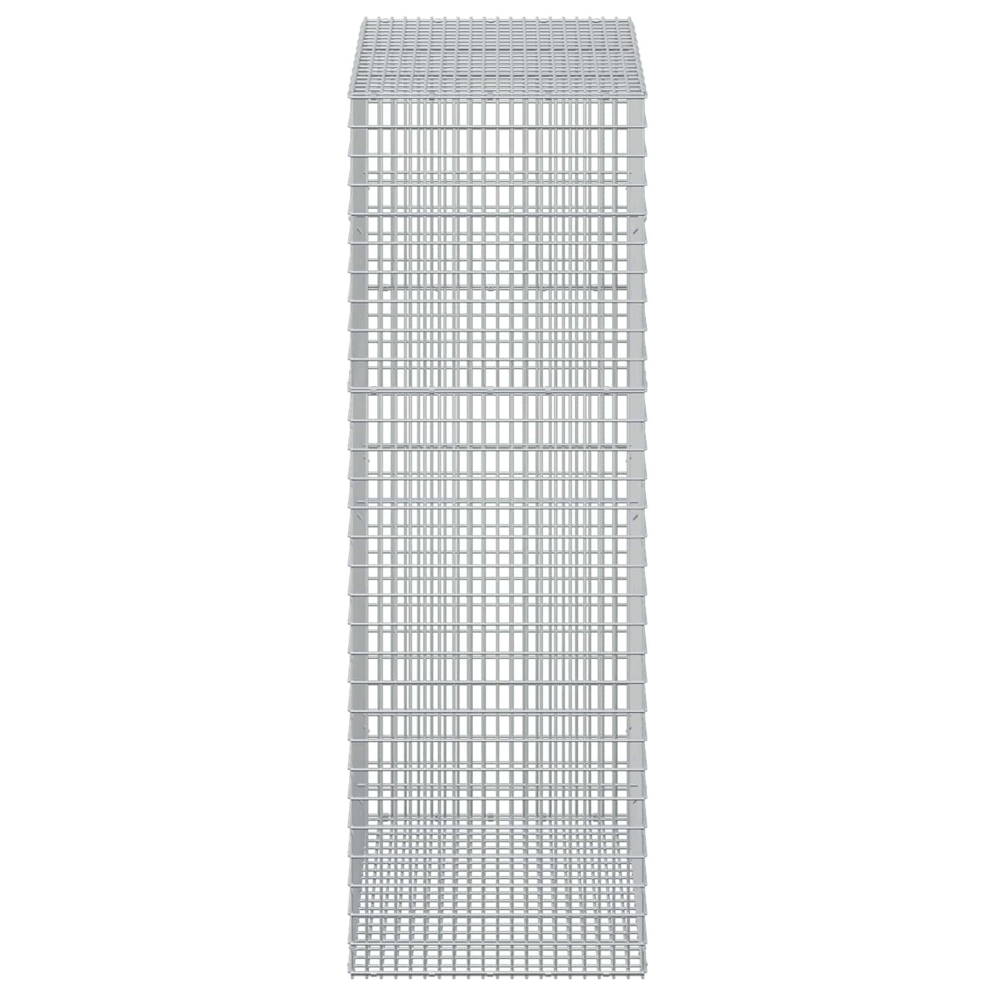 vidaXL Γκαμπιόν με σύρμα 5 mm και πλέγμα 5x2,5 cm 50x100x150 εκ.