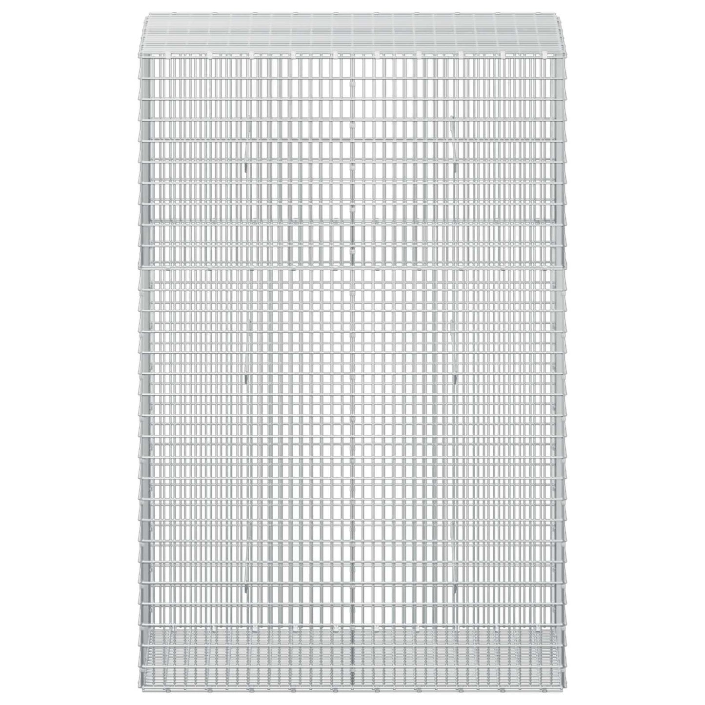 vidaXL Γκαμπιόν με σύρμα 5 mm και πλέγμα 5x2,5 cm 50x100x150 εκ.