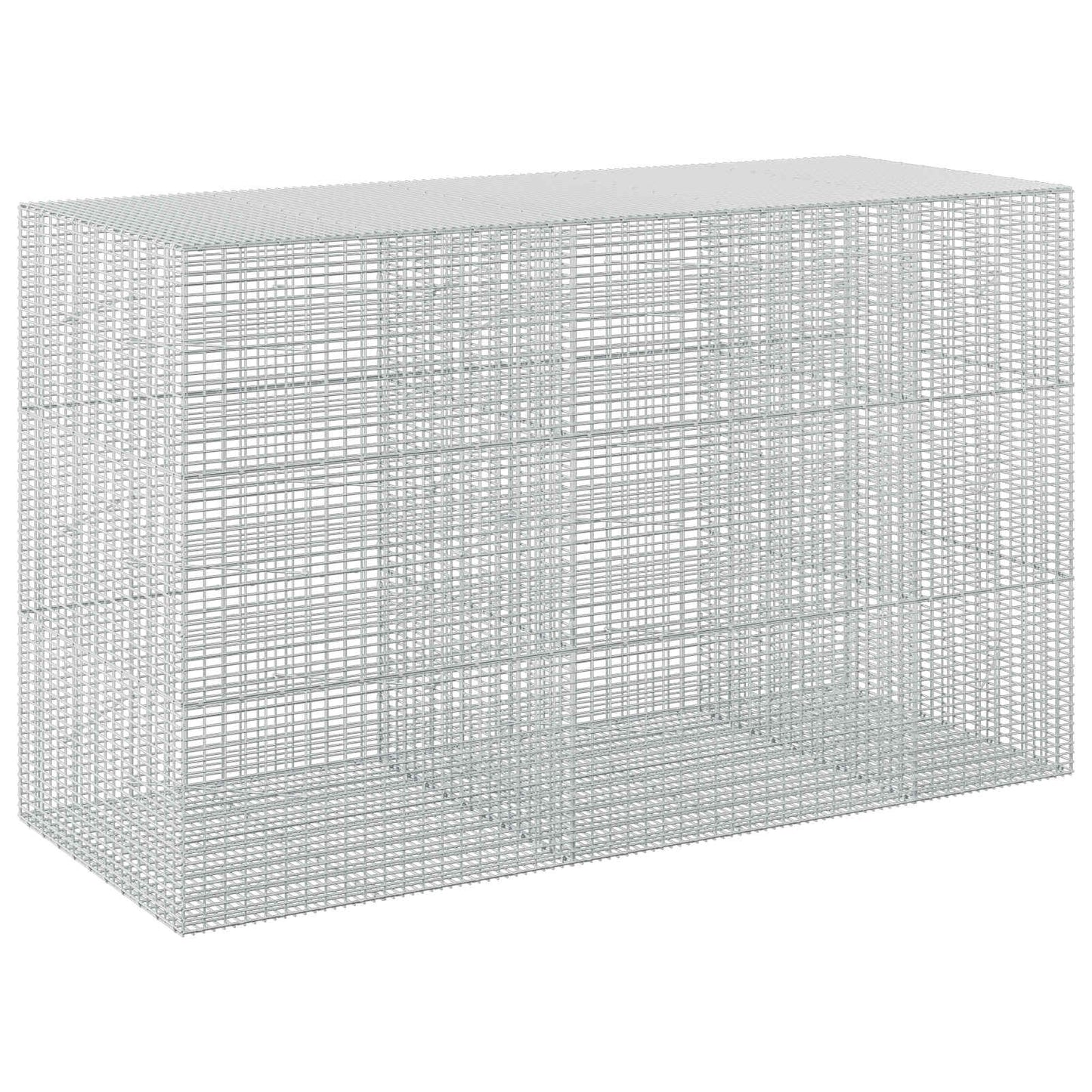 vidaXL Γκαμπιόν με σύρμα 5 mm και πλέγμα 5x2,5 cm 250x100x150 εκ.