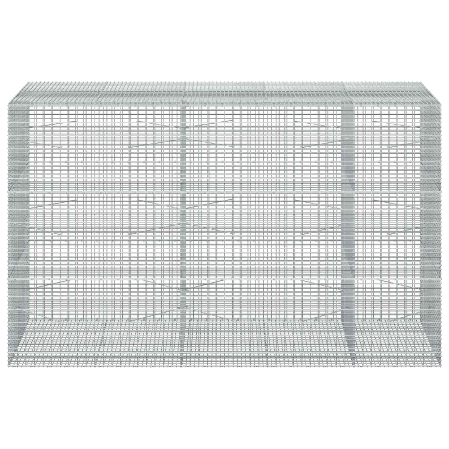 vidaXL Γκαμπιόν με σύρμα 5 mm και πλέγμα 5x2,5 cm 250x100x150 εκ.