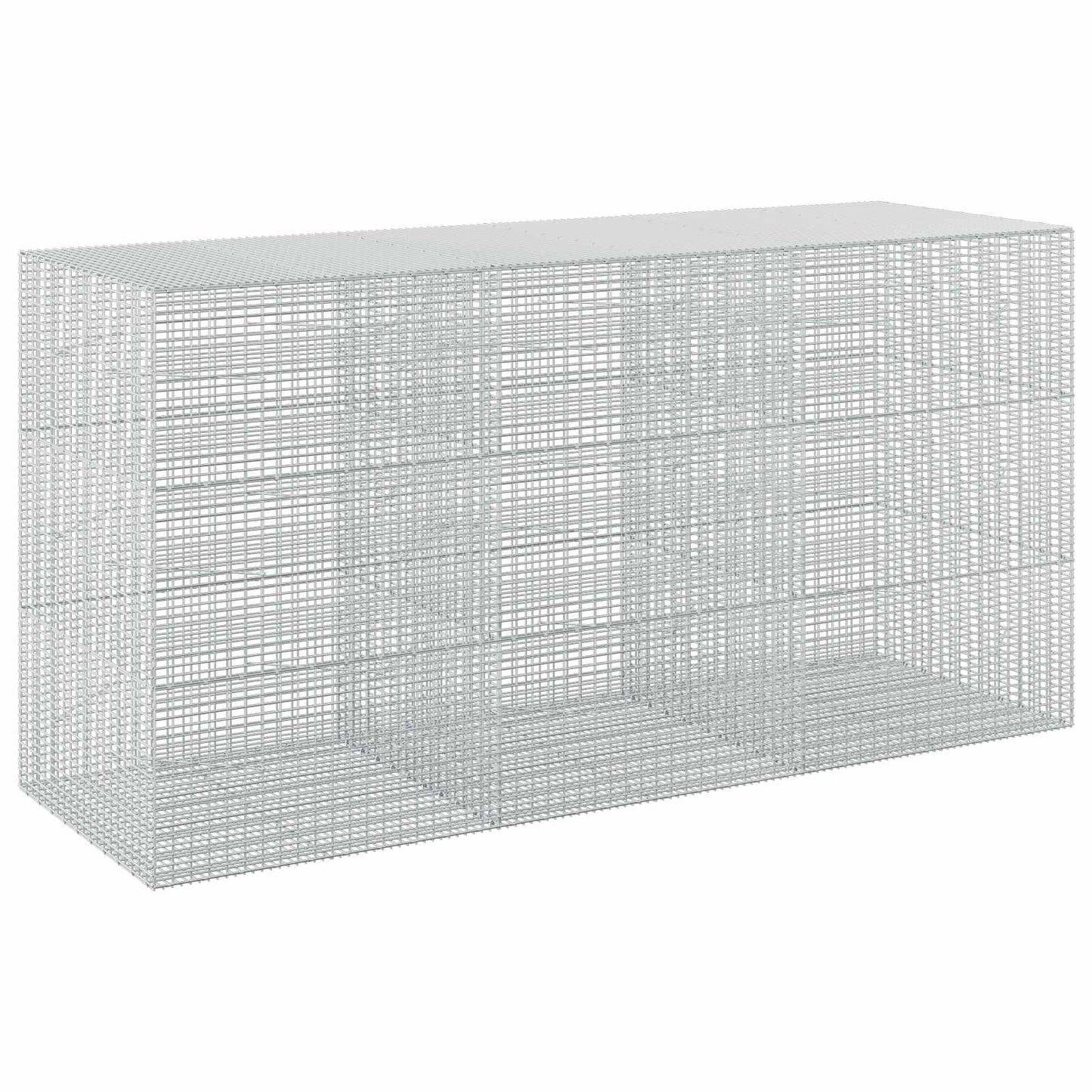 vidaXL Γκαμπιόν με σύρμα 5 mm και πλέγμα 5x2,5 cm 300x100x150 εκ