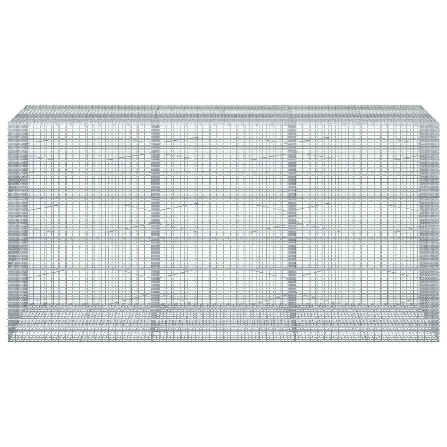 vidaXL Γκαμπιόν με σύρμα 5 mm και πλέγμα 5x2,5 cm 300x100x150 εκ