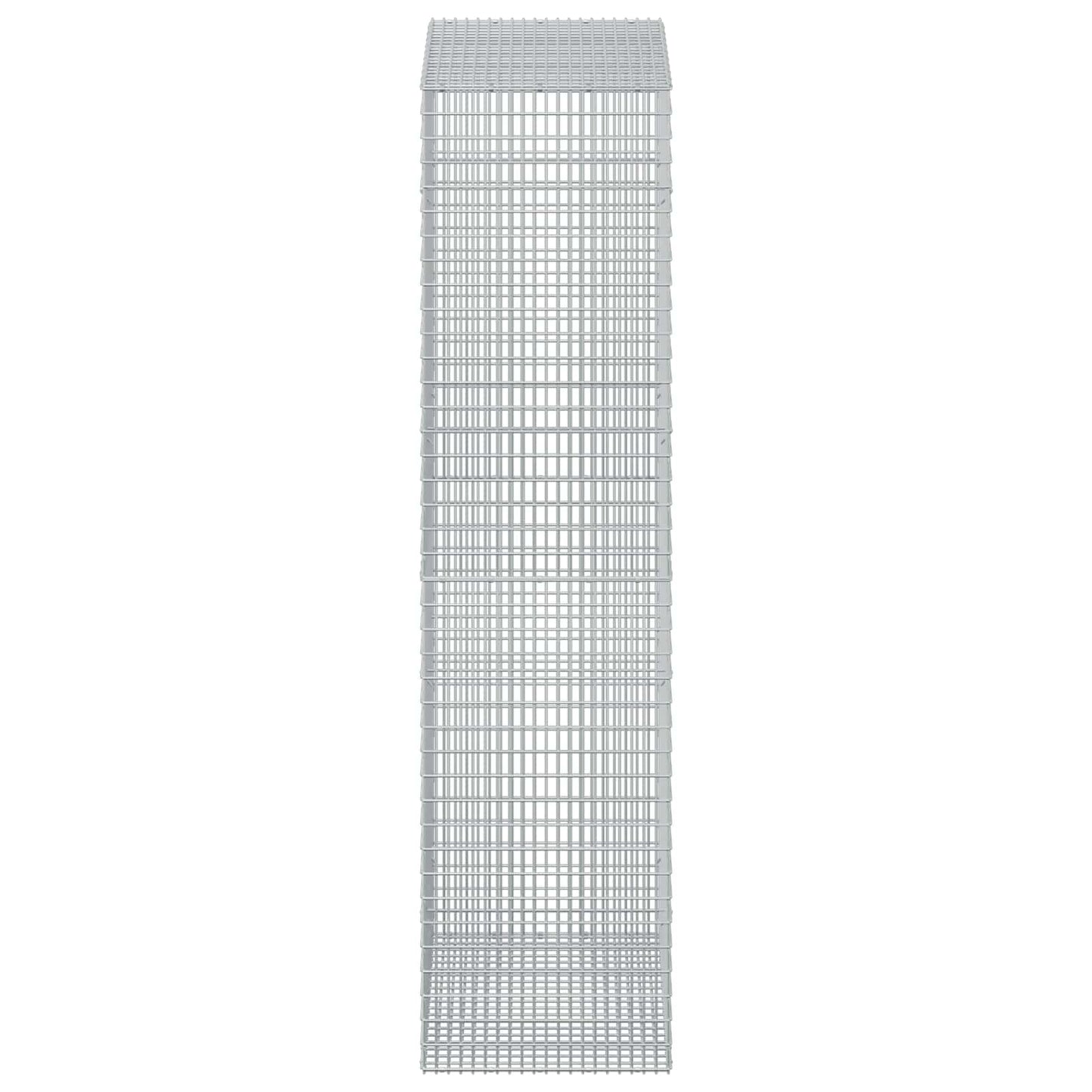 vidaXL Γκαμπιόν με σύρμα 5 mm και πλέγμα 5x2,5 cm 50x100x200 εκ