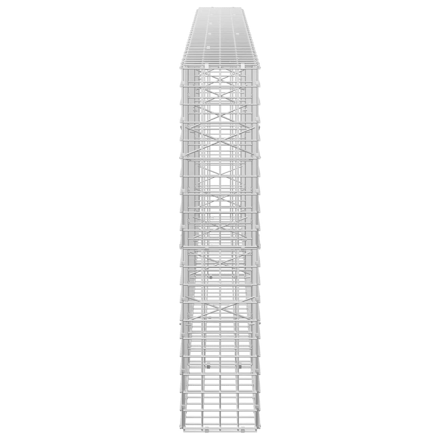 vidaXL Γκαμπιόν με σύρμα 5 mm και πλέγμα 5x5 cm 250x20x100 εκ