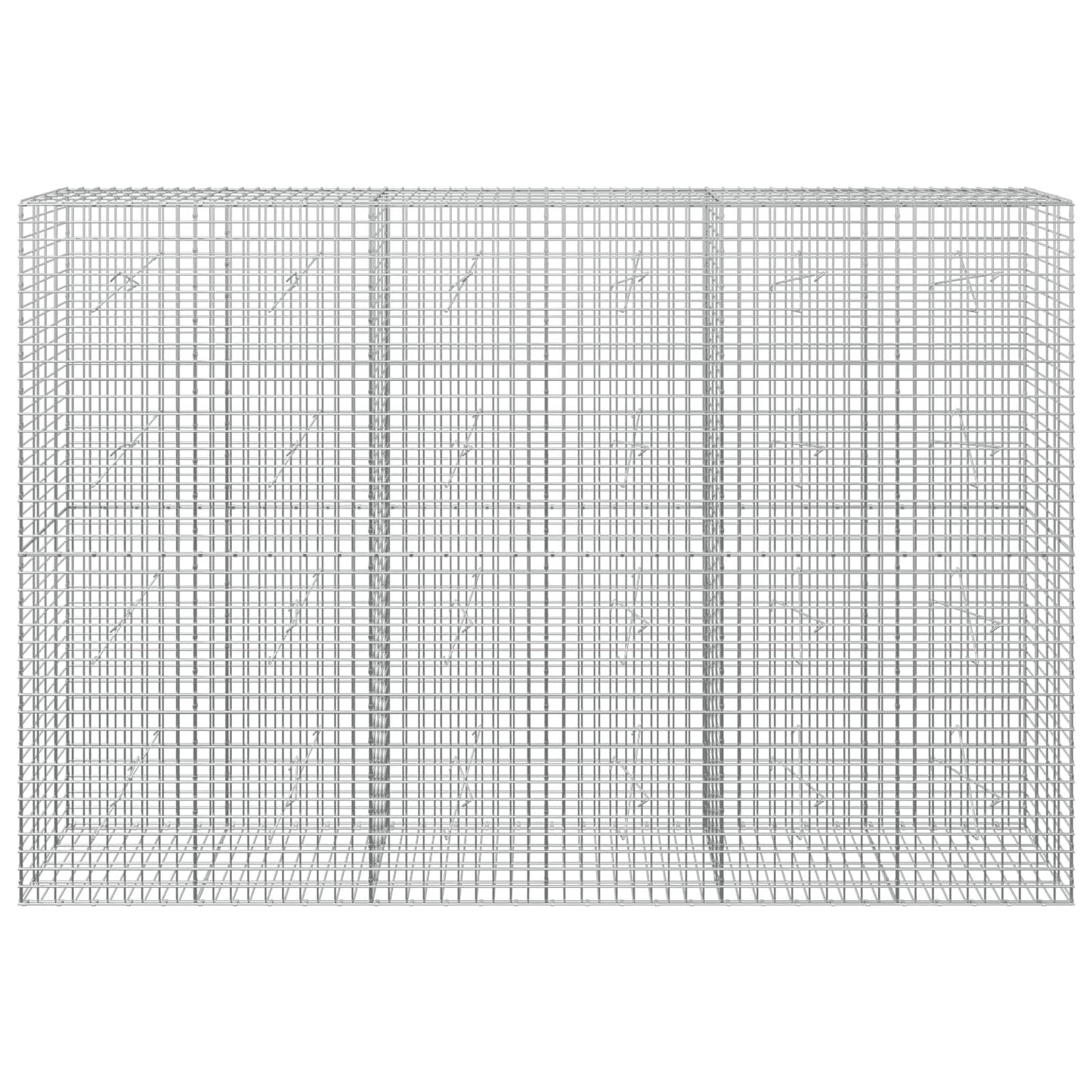 vidaXL Γκαμπιόν με σύρμα 5 mm και πλέγμα 5x5 cm 300x20x200 εκ
