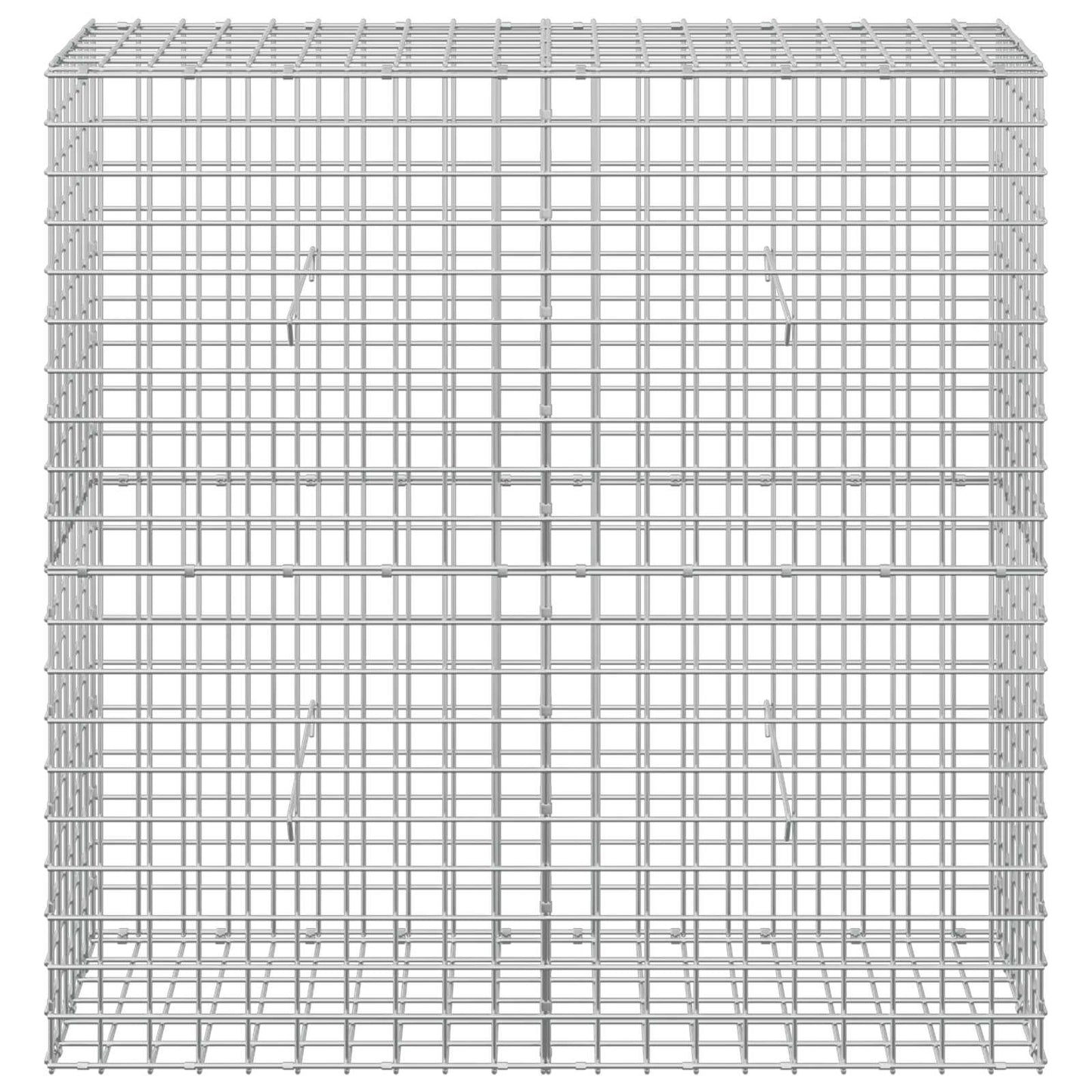 vidaXL Γκαμπιόν με σύρμα 5 mm και πλέγμα 5x5 cm 100x30x100 εκ
