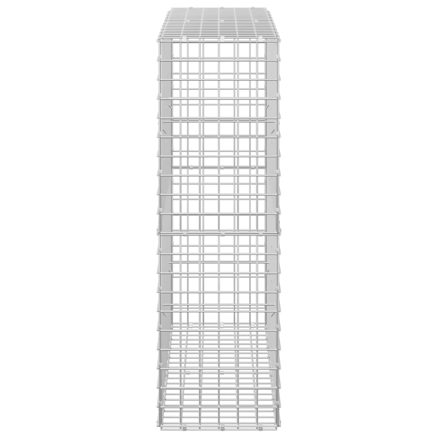 vidaXL Γκαμπιόν με σύρμα 5 mm και πλέγμα 5x5 cm 100x30x100 εκ