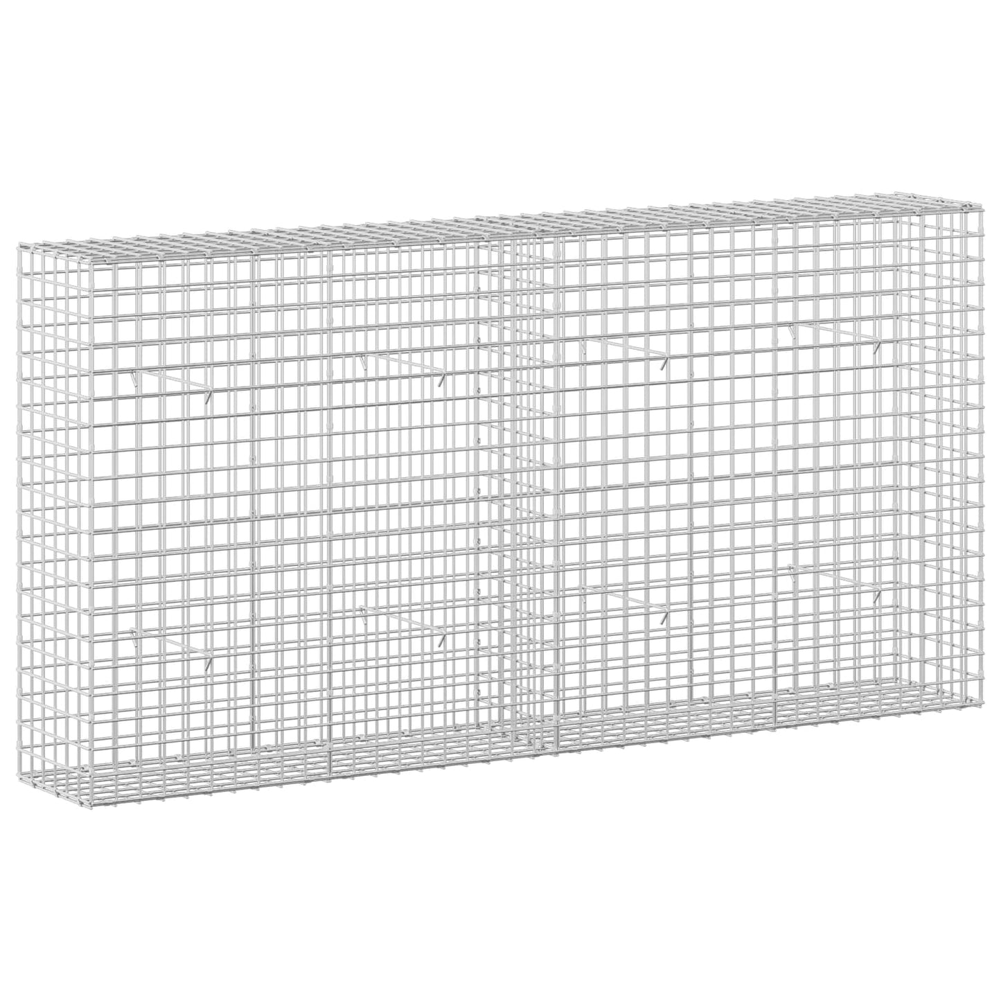 vidaXL Γκαμπιόν με σύρμα 5 mm και πλέγμα 5x5 cm 200x30x100 εκ