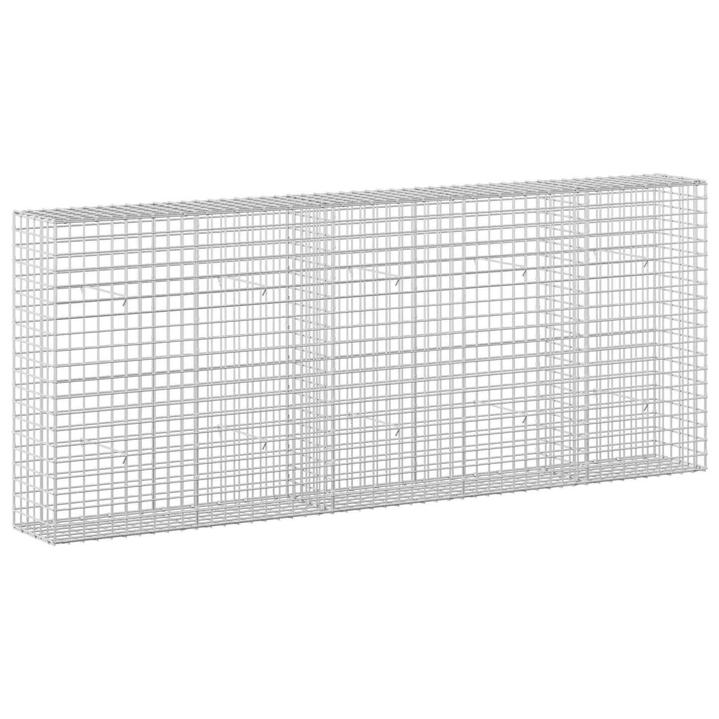vidaXL Γκαμπιόν με σύρμα 5 mm και πλέγμα 5x5 cm 250x30x100 εκ