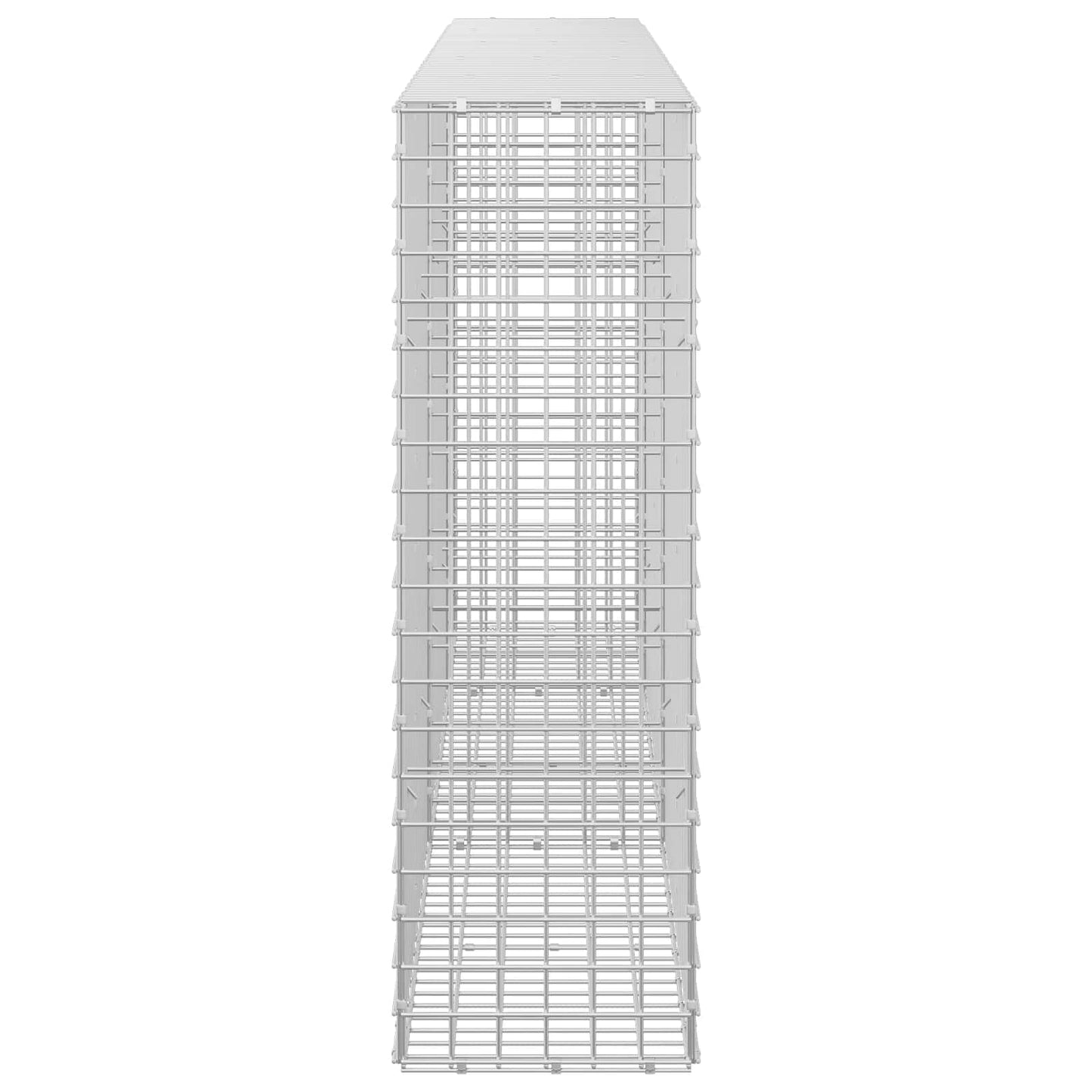 vidaXL Γκαμπιόν με σύρμα 5 mm και πλέγμα 5x5 cm 250x30x100 εκ