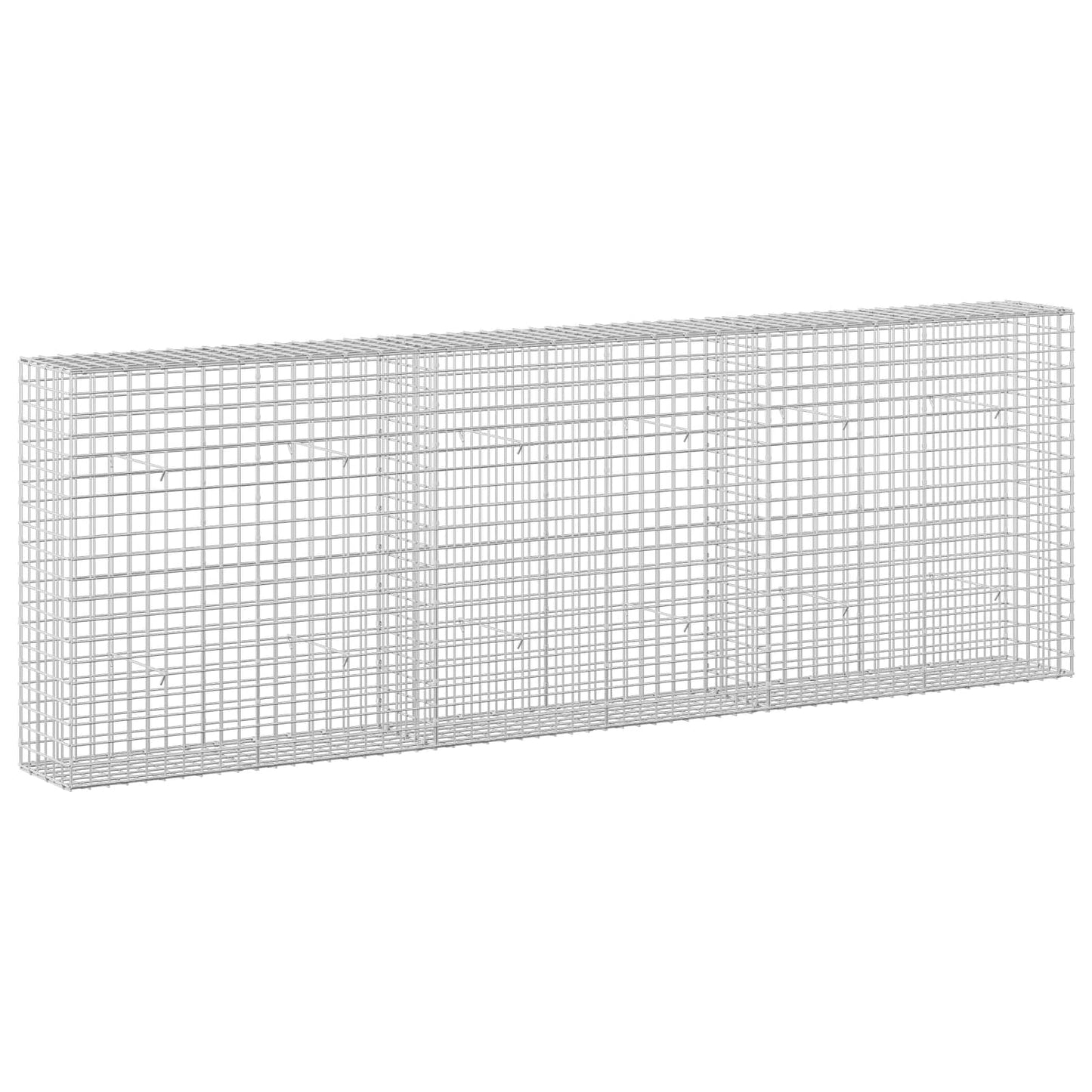 vidaXL Γκαμπιόν με σύρμα 5 mm και πλέγμα 5x5 cm 300x30x100 εκ