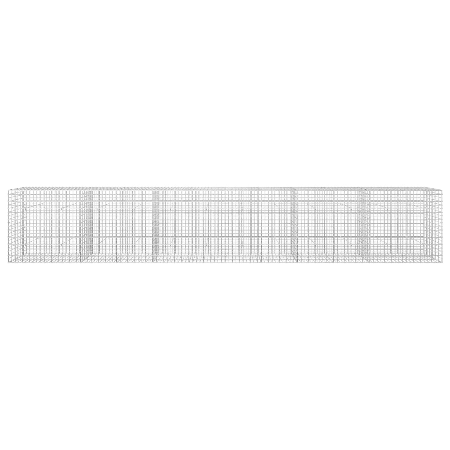 vidaXL Γκαμπιόν με σύρμα 5 mm και πλέγμα 5x5 cm 600x30x100 εκ