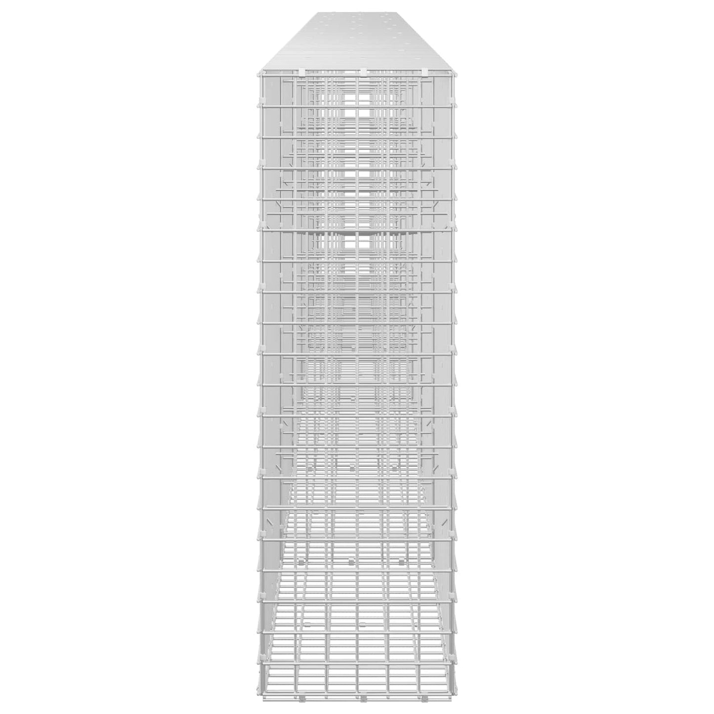 vidaXL Γκαμπιόν με σύρμα 5 mm και πλέγμα 5x5 cm 600x30x100 εκ