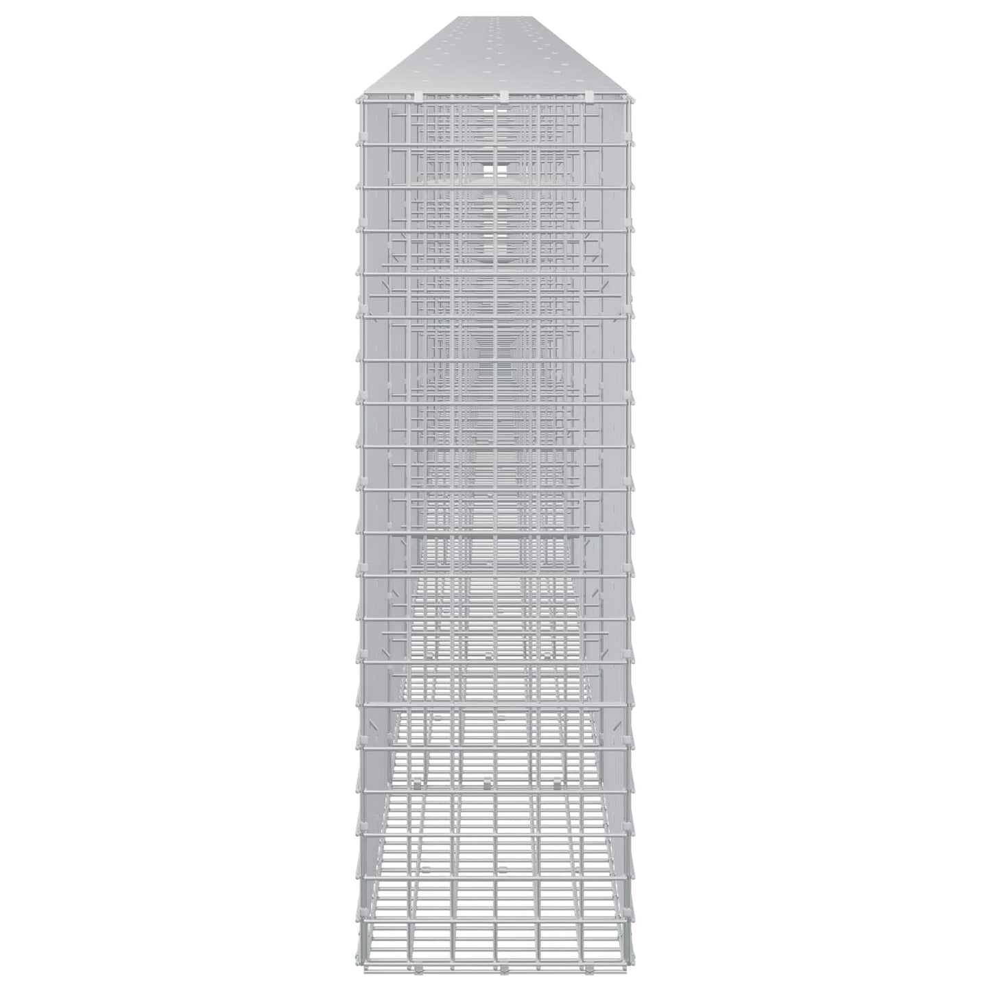vidaXL Γκαμπιόν με σύρμα 5 mm και πλέγμα 5x5 cm 1100x30x100 εκ