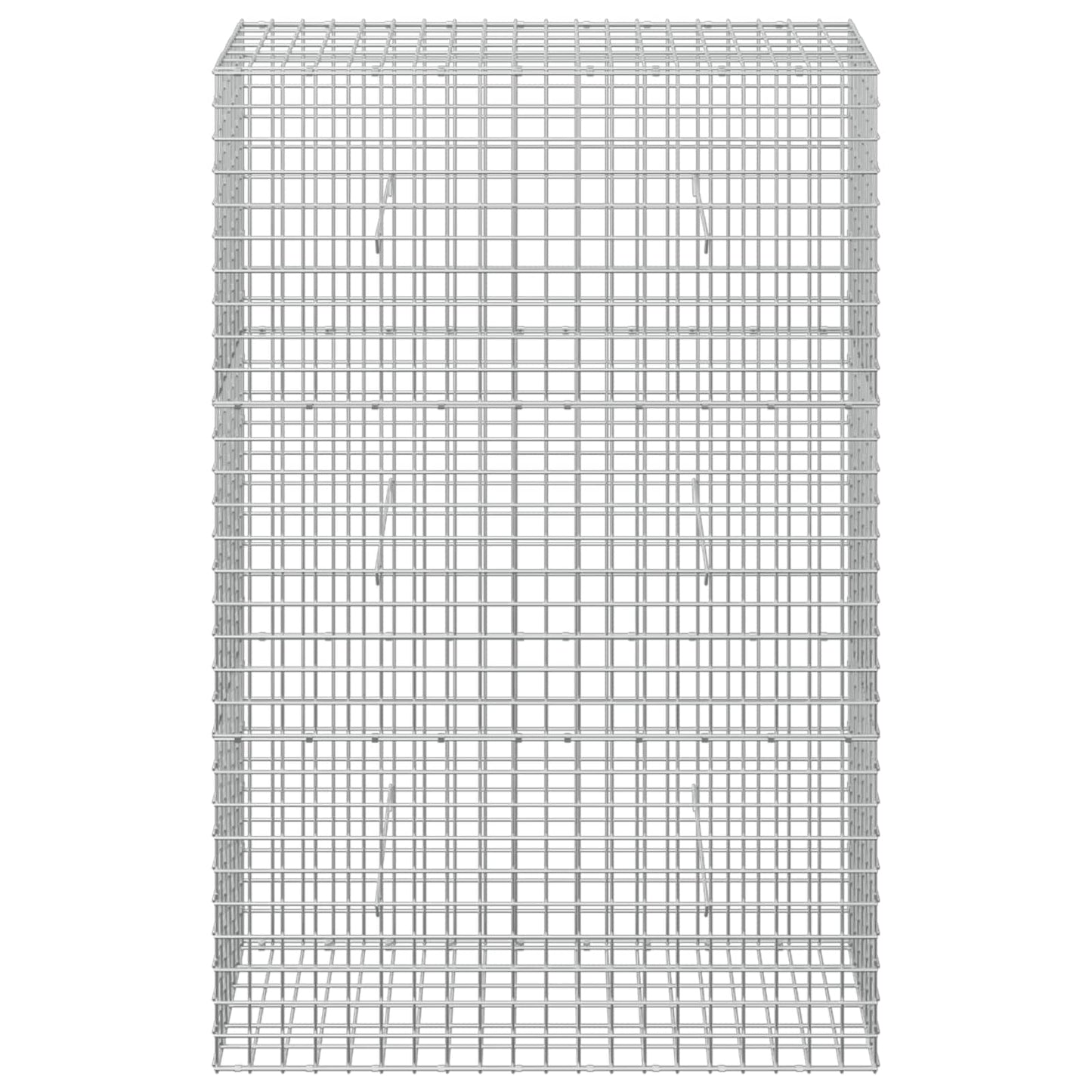 vidaXL Γκαμπιόν με σύρμα 5 mm και πλέγμα 5x5 cm 100x30x150 εκ
