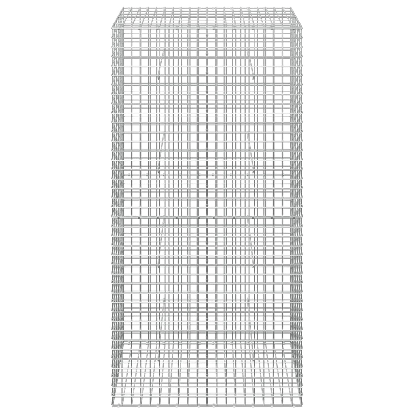 vidaXL Γκαμπιόν με σύρμα 5 mm και πλέγμα 5x5 cm 100x30x200 εκ.