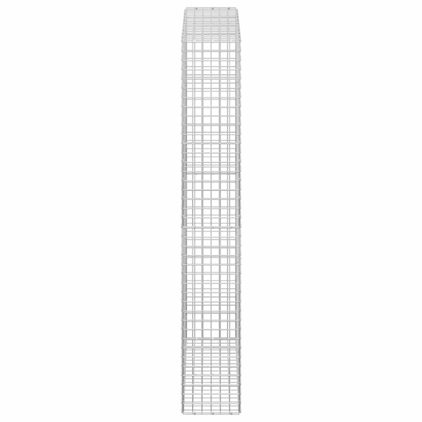 vidaXL Γκαμπιόν με σύρμα 5 mm και πλέγμα 5x5 cm 100x30x200 εκ.