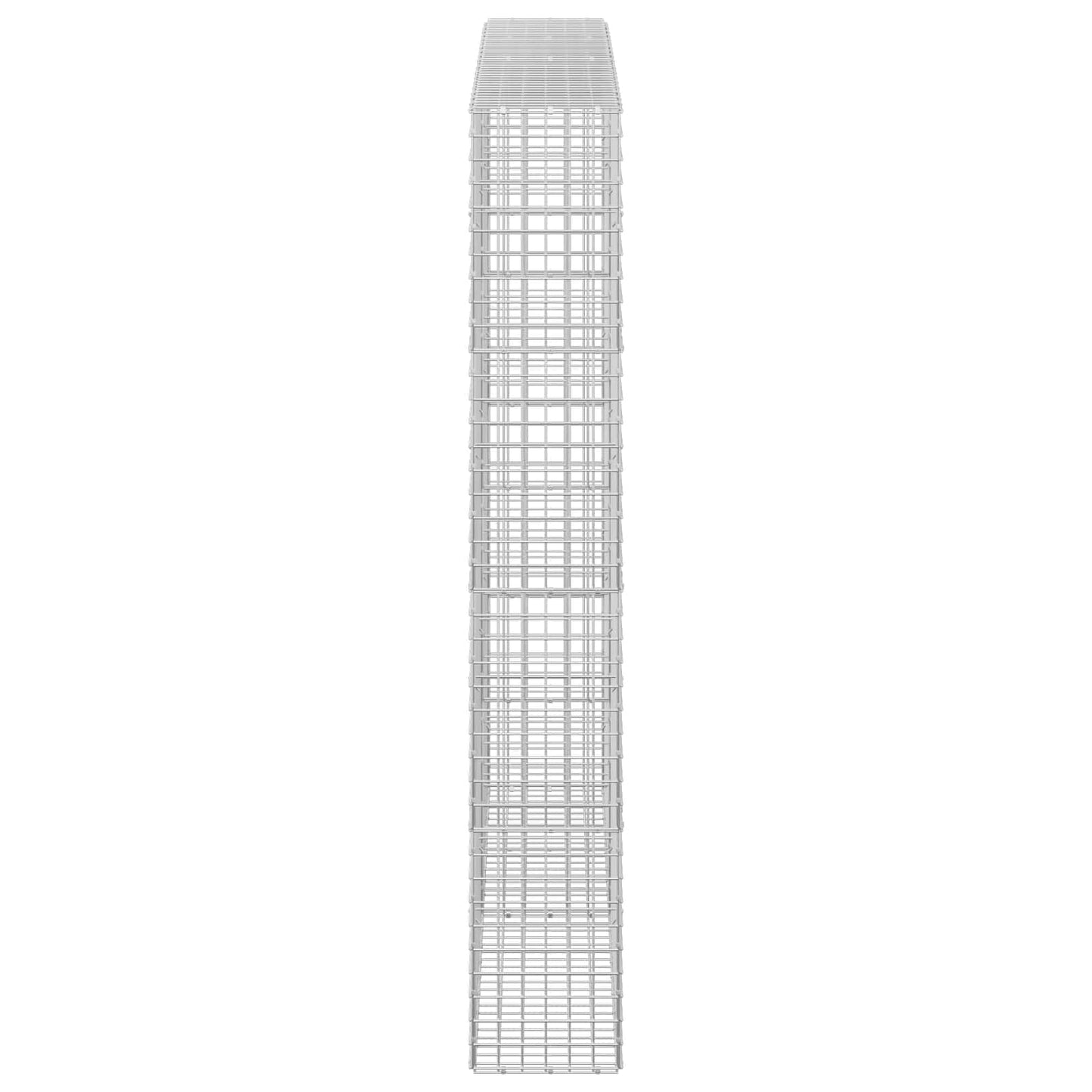 vidaXL Γκαμπιόν με σύρμα 5 mm και πλέγμα 5x5 cm 200x30x200 εκ