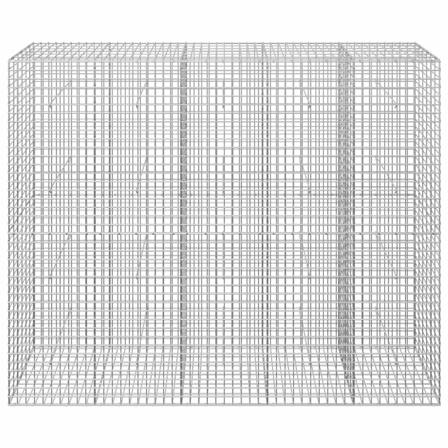 vidaXL Γκαμπιόν με σύρμα 5 mm και πλέγμα 5x5 cm 250x30x200 εκ.