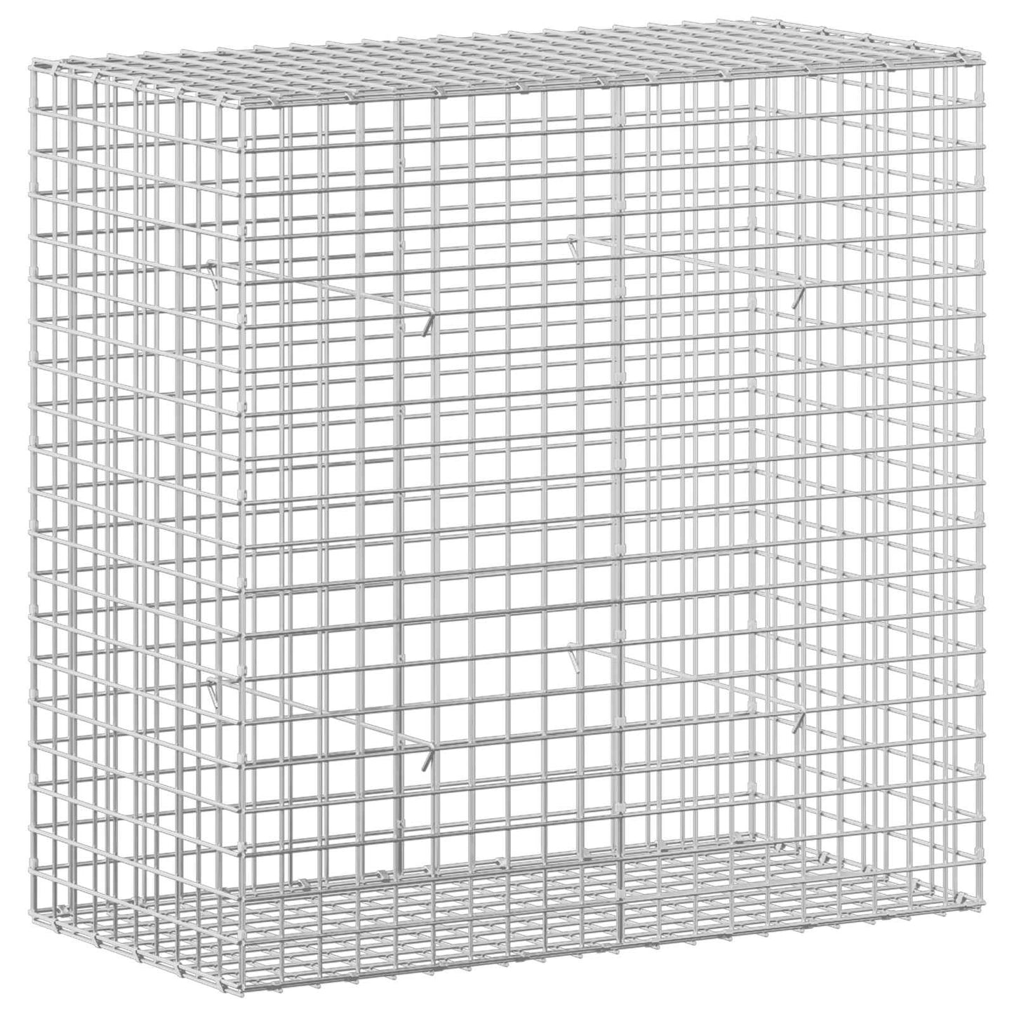 vidaXL Γκαμπιόν με σύρμα 5 mm και πλέγμα 5x5 cm 100x50x100 εκ