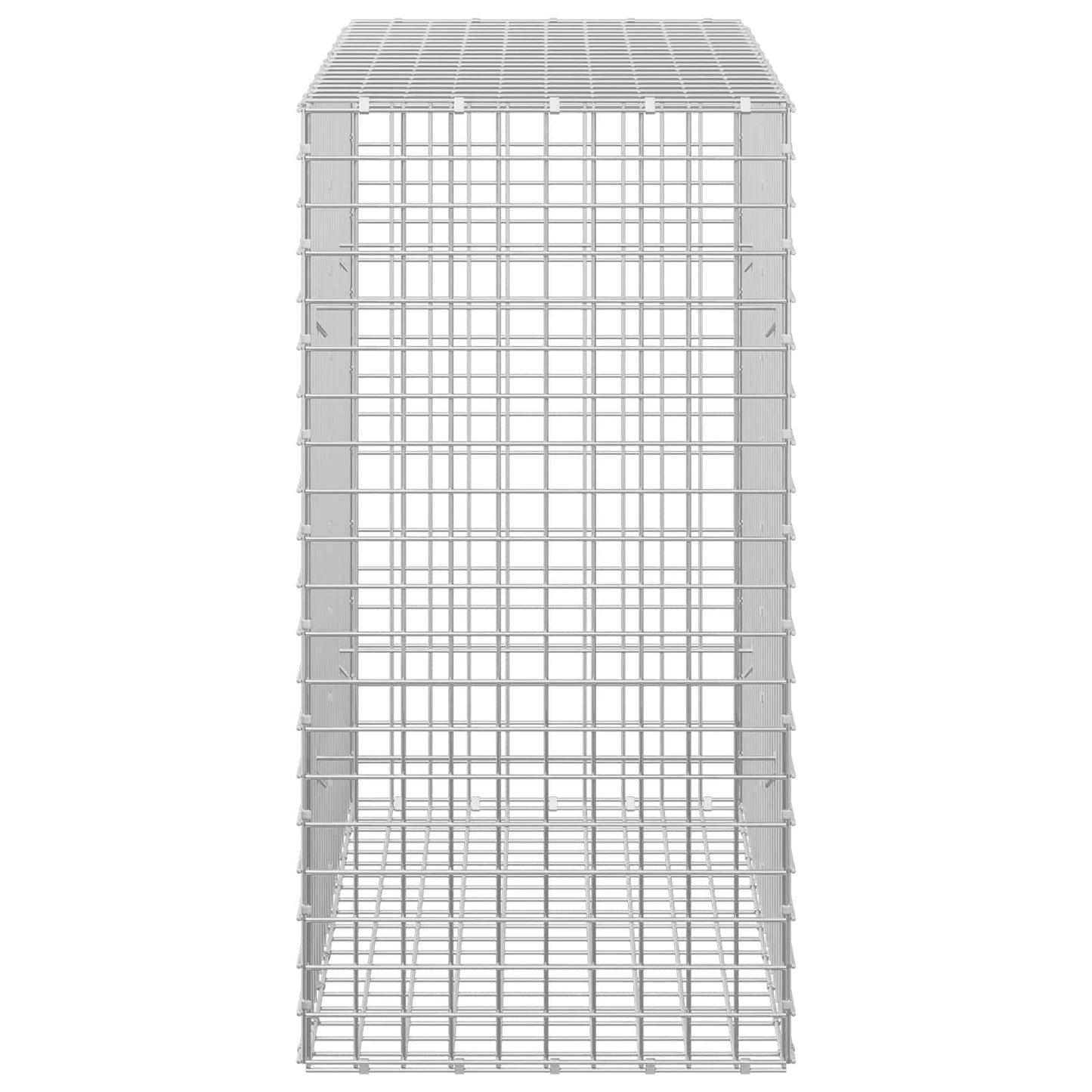 vidaXL Γκαμπιόν με σύρμα 5 mm και πλέγμα 5x5 cm 100x50x100 εκ