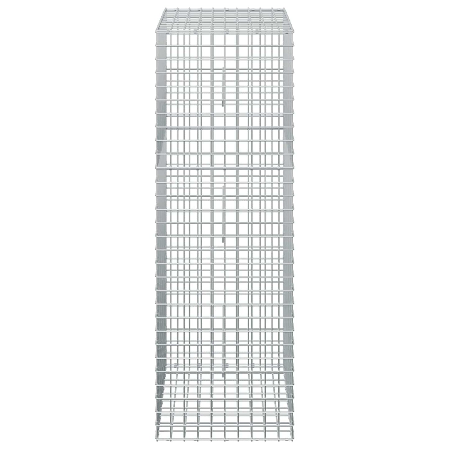 vidaXL Γκαμπιόν με σύρμα 5 mm και πλέγμα 5x5 cm 50x50x150 εκ