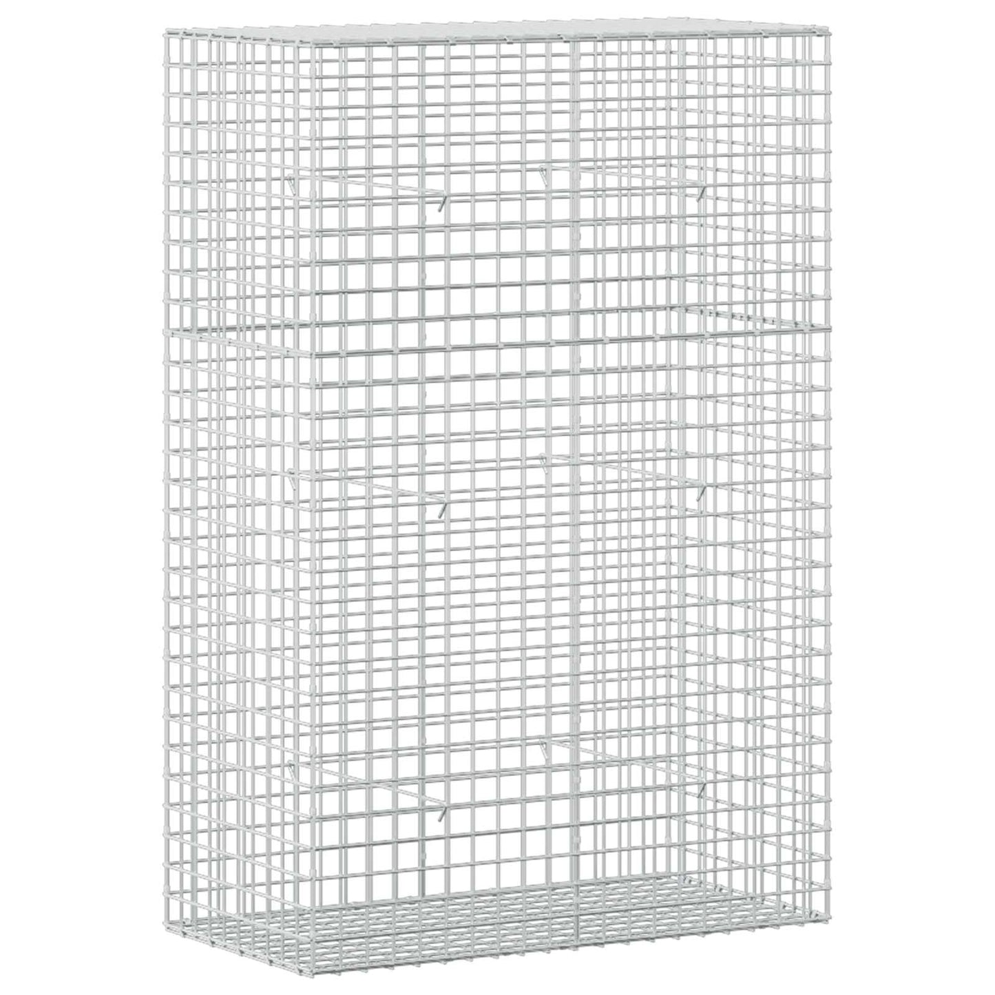 vidaXL Γκαμπιόν με σύρμα 5 mm και πλέγμα 5x5 cm 100x50x150 εκ